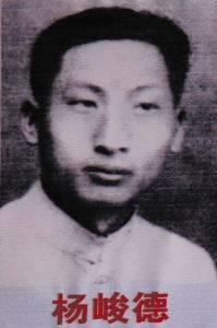杨峻德(1900—1931.5.23)原名克宽，又名杨适、杨实。福建省建瓯县吉阳
