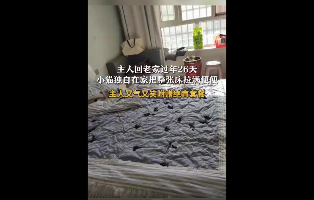 近日，新疆和田王女士春节返乡26天，返家后发现独守空房的猫咪将排泄物铺满整张床垫