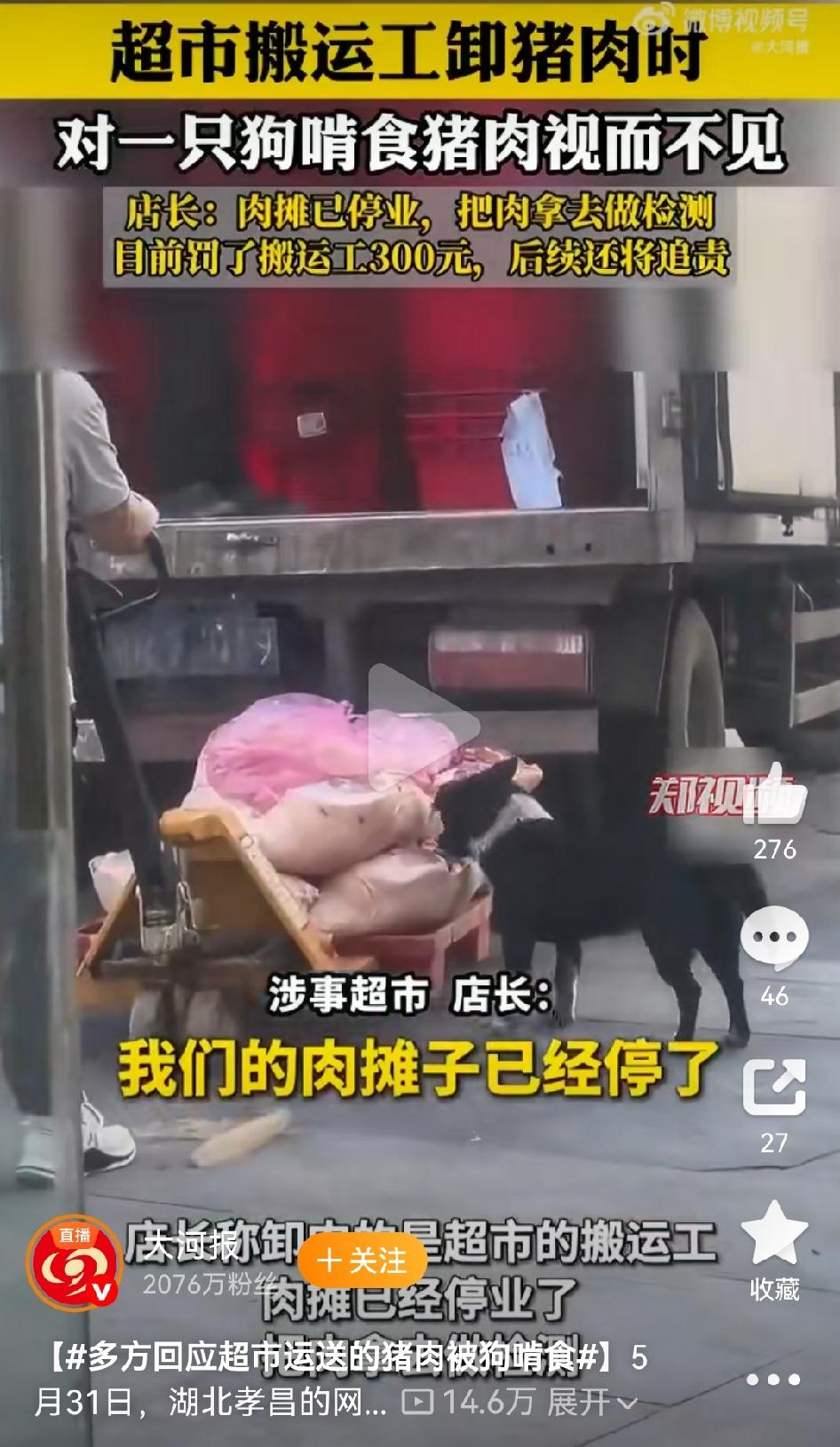 超市猪肉被狗啃，搬运工忙着卸货，太可怕了。
5月31日，有湖北网友发视频称：一家