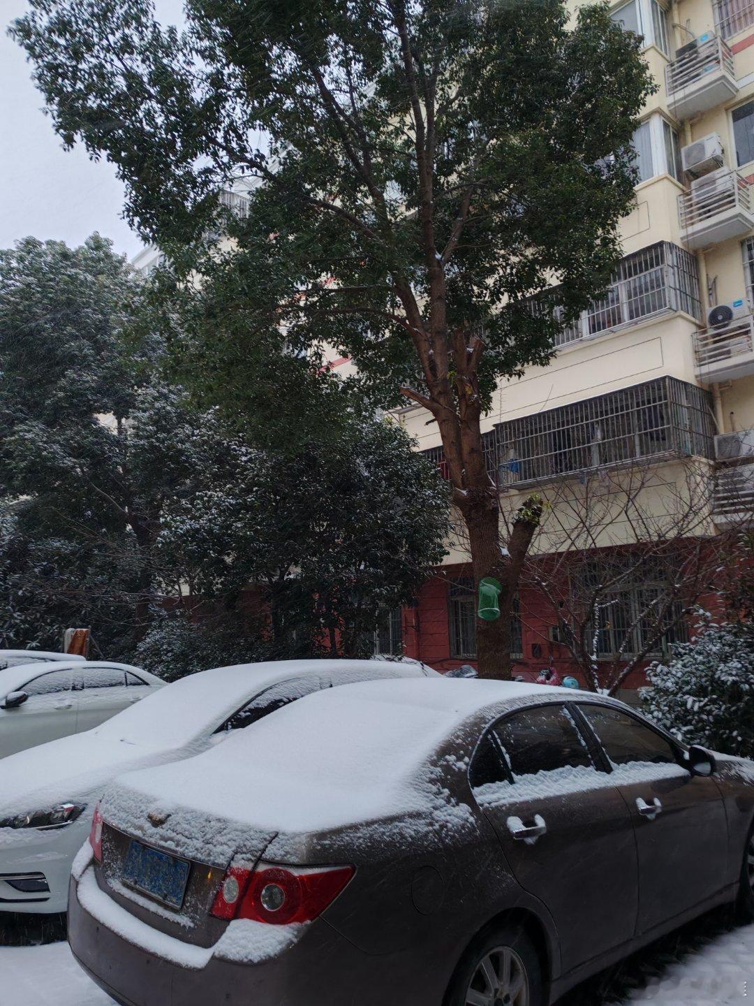 下雪南京也下雪了，还很大！ 