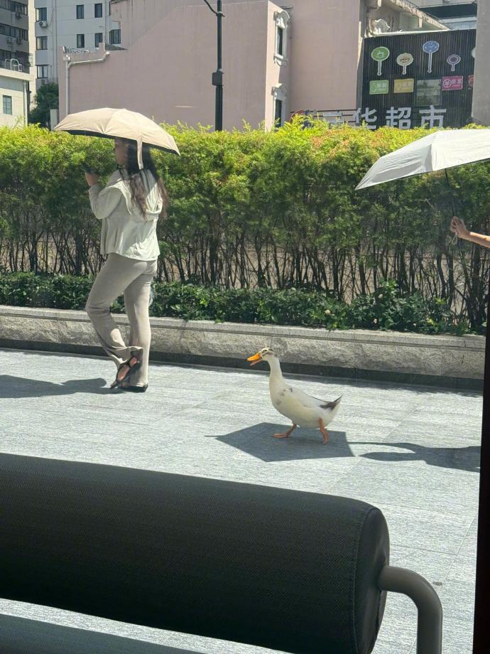🦆：日子怎么可能跟谁过都一样 ​​​
