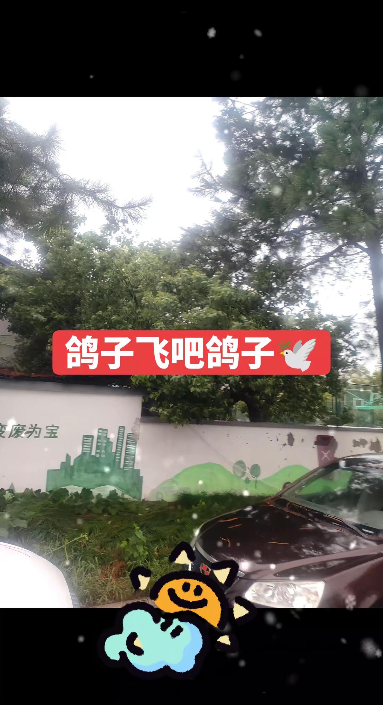 路边随手拍