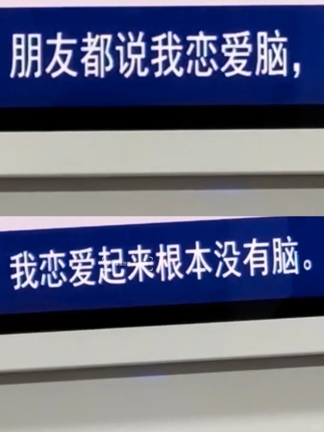 厦门树洞好癫好好笑啊哈哈哈哈哈