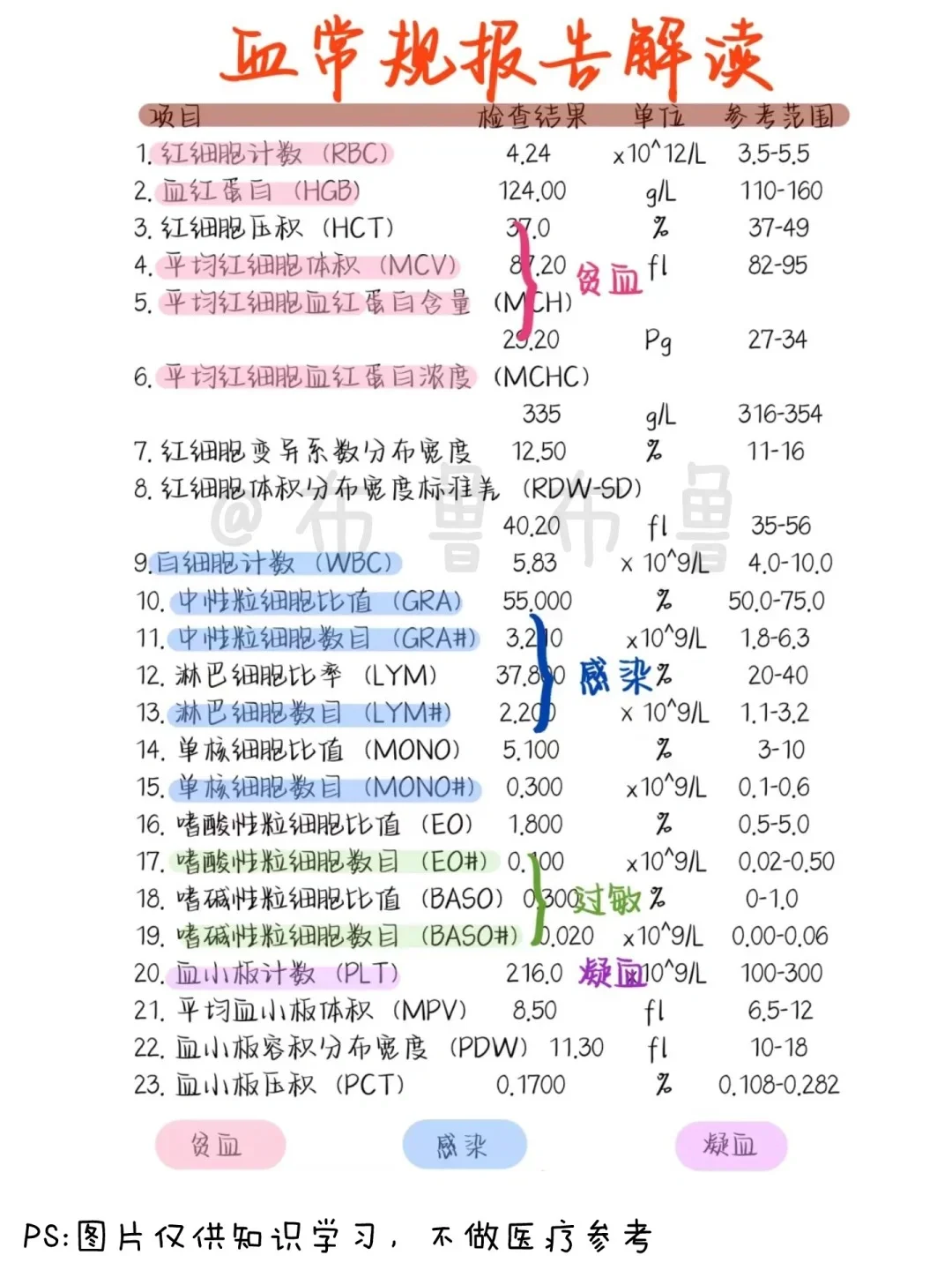 医学生笔记❗️血常规报告解读手绘笔记
