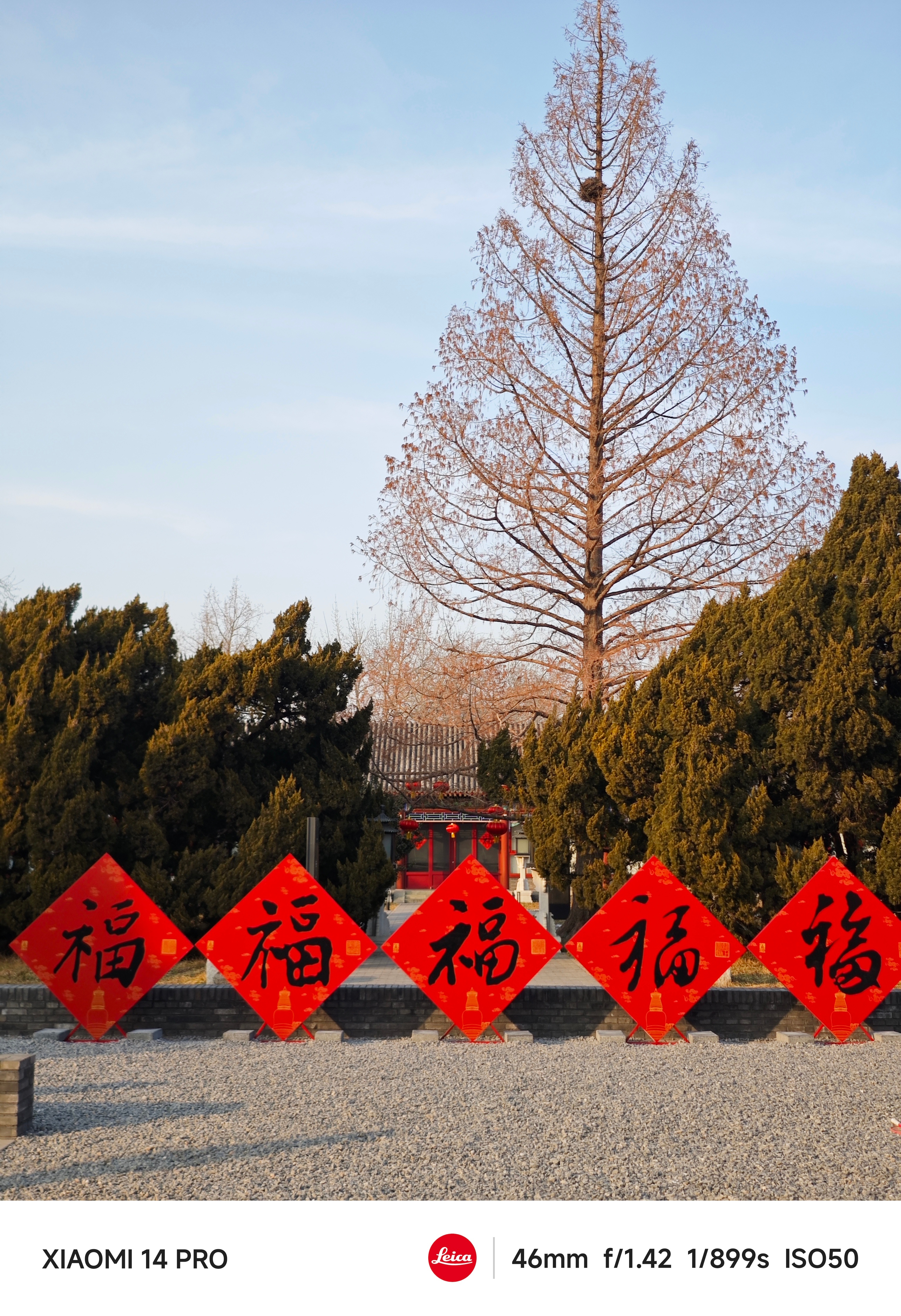 #每天早起打卡#早上好，开工大吉。 ​​​