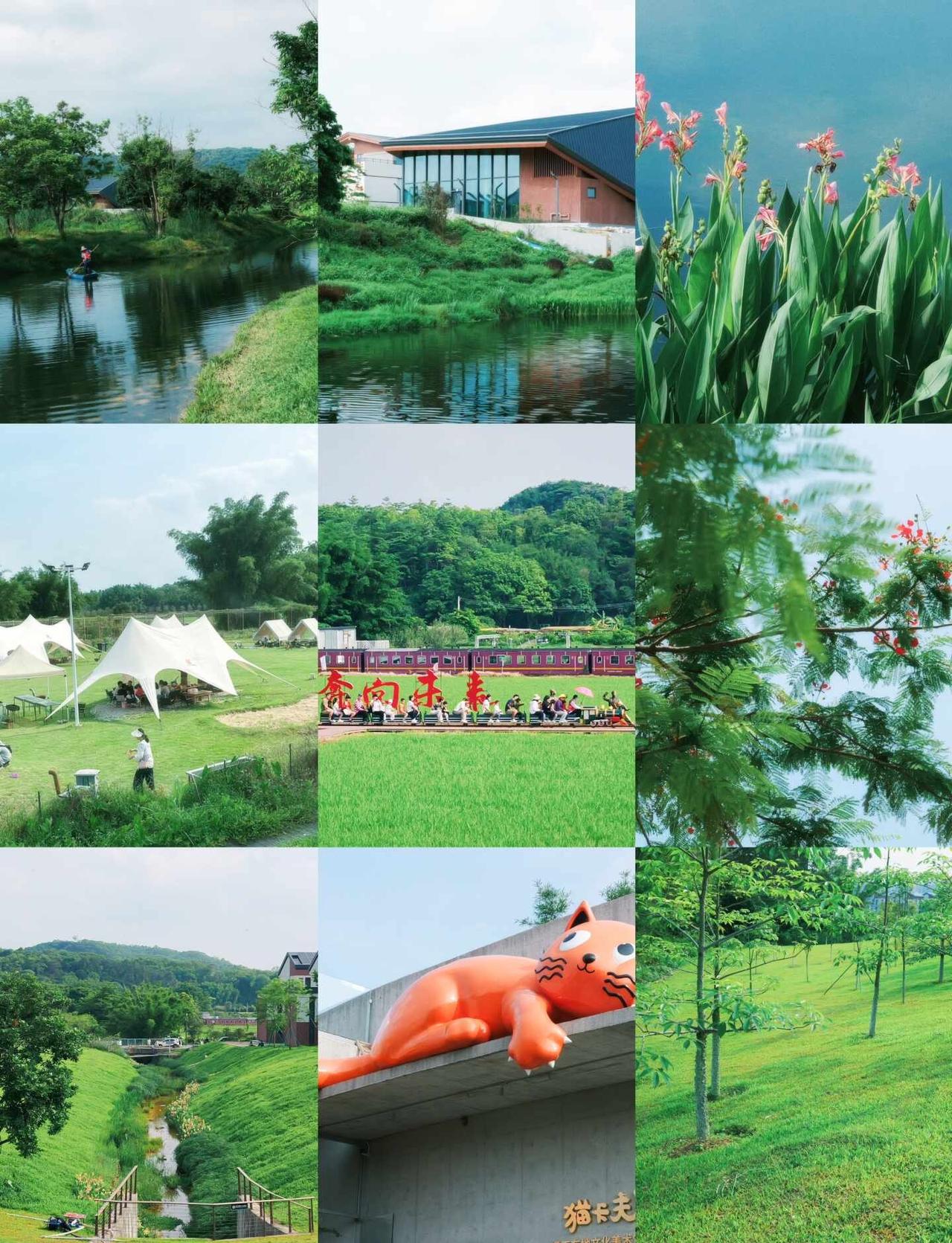 被黄埔绿野仙踪的露营地治愈了🌿
黄埔迳下村晴天封神🤩
谁能拒绝藏在乡村里的治