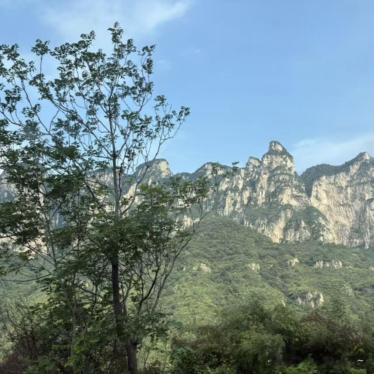 命好的人有多好？

我一小学同学学习倒数第一，不咋爱说话智商不在线情商也不咋地，