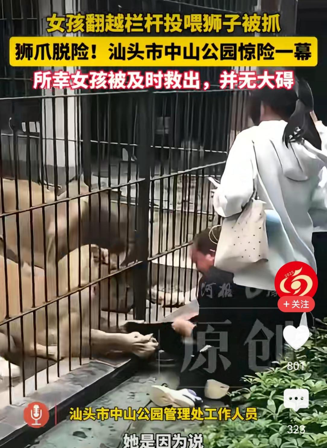 狮口脱险。
有些时候我们应该准守规则，特别是对自己生命安全负责，不要轻易试探那些