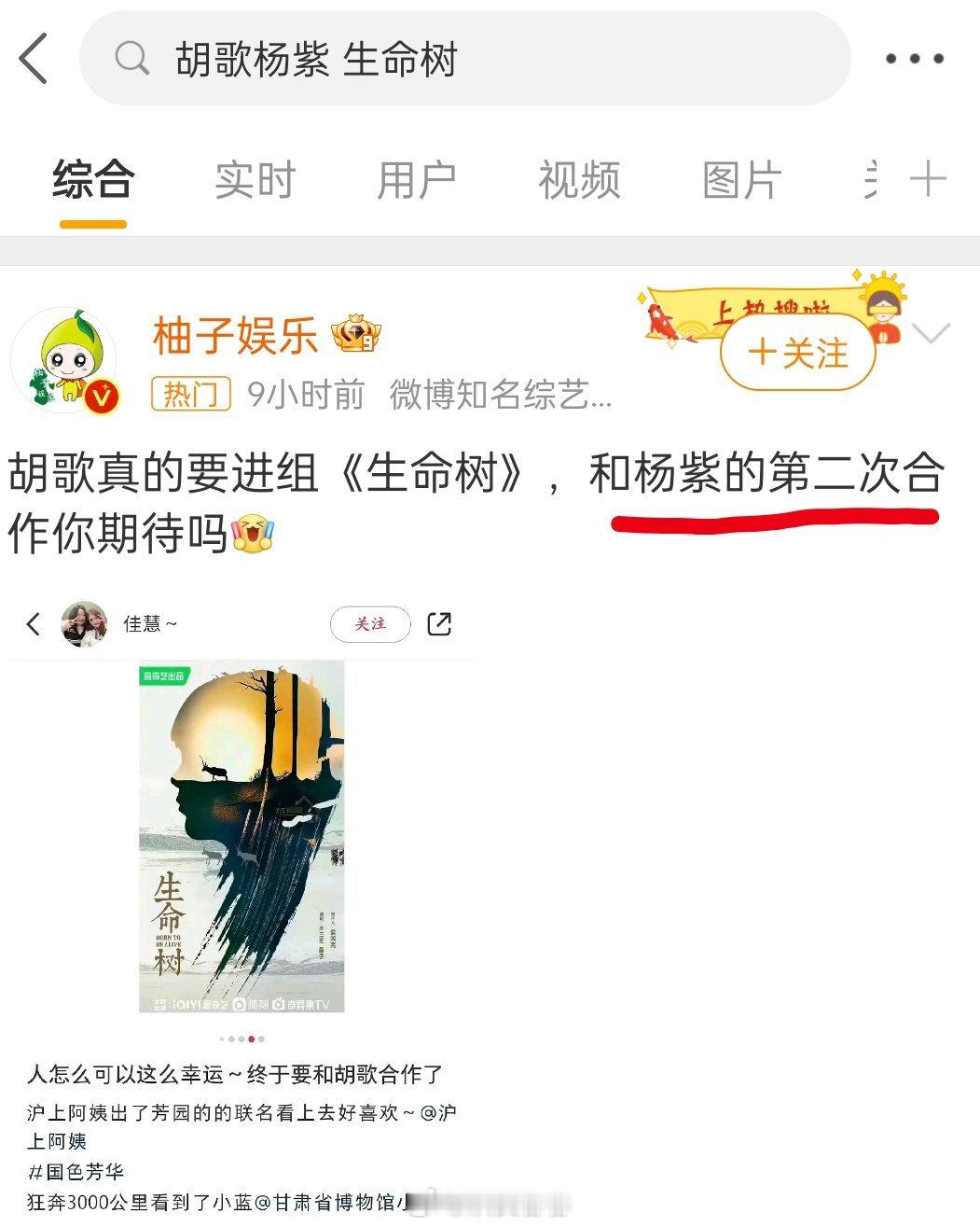 生命树又又上热搜了胡歌和杨紫一搭过？ 