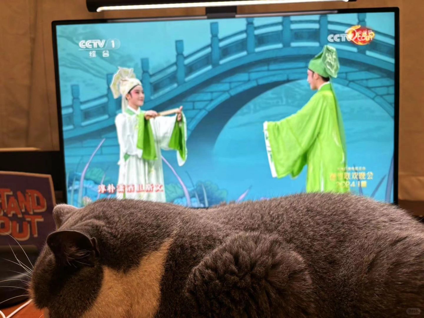 新鹊桥