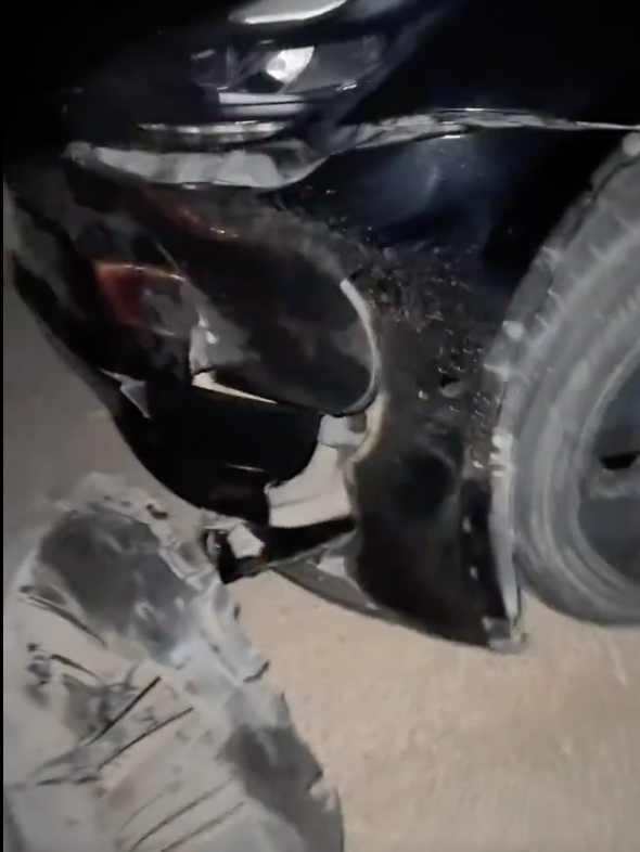 【特斯拉撞死野猪，车主被判全责】近日，一特斯拉车主驾车意外撞上闯入国道的野猪，其