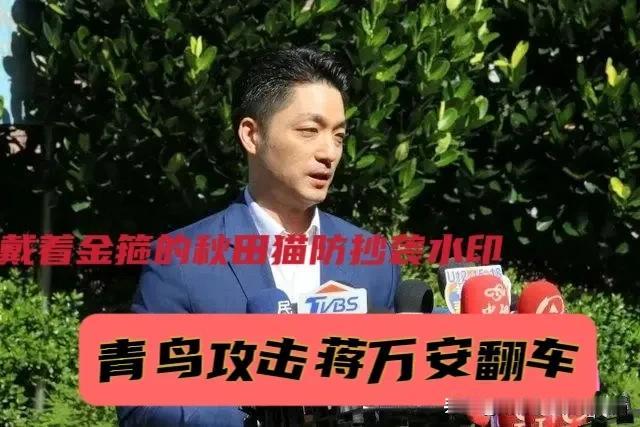 青鸟攻击蒋万安遭翻车！
辟谣“砍树帮助无人机攻击”，蒋万安硬刚网络谣言！南部砍百
