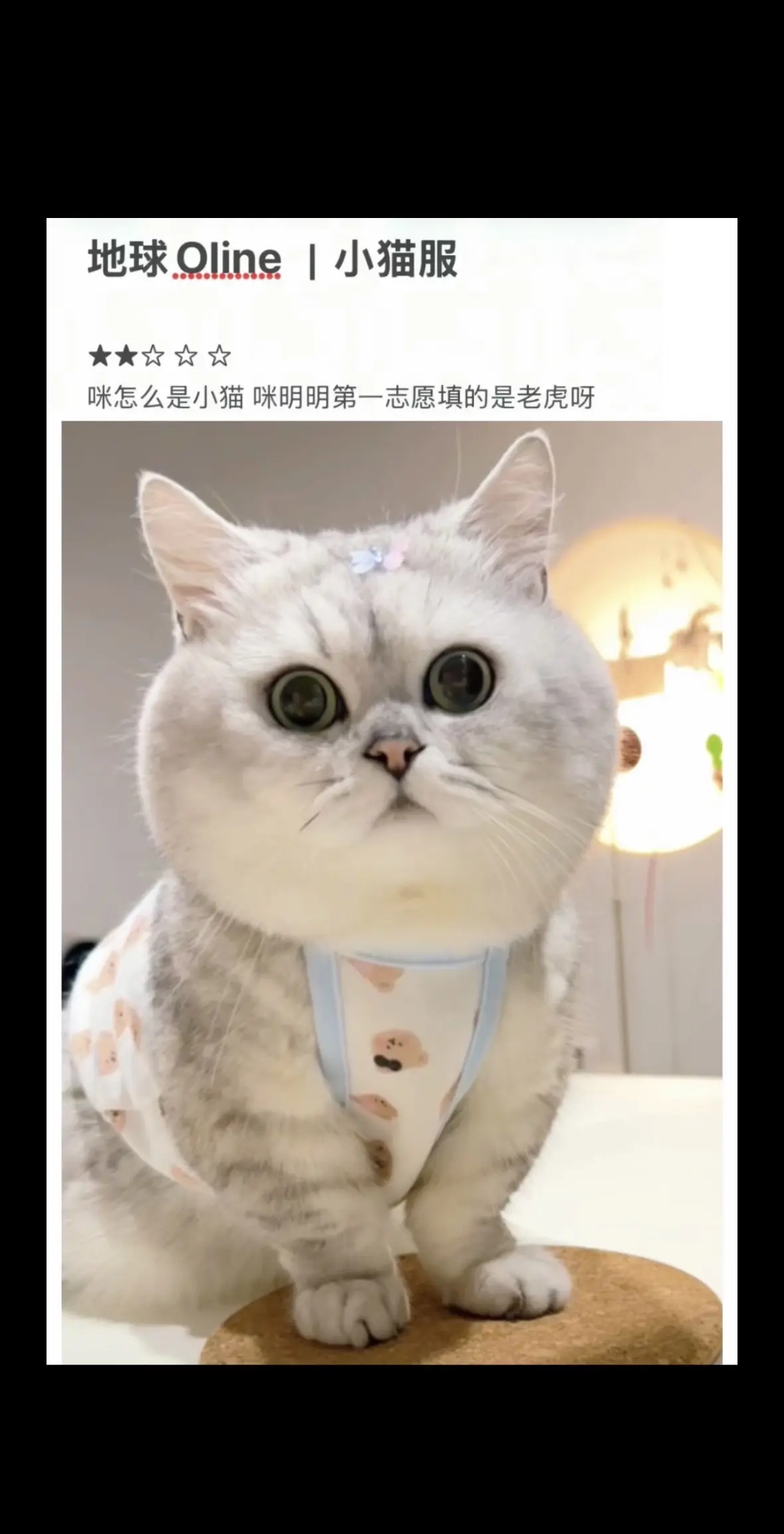 咪明明就是脑虎呀