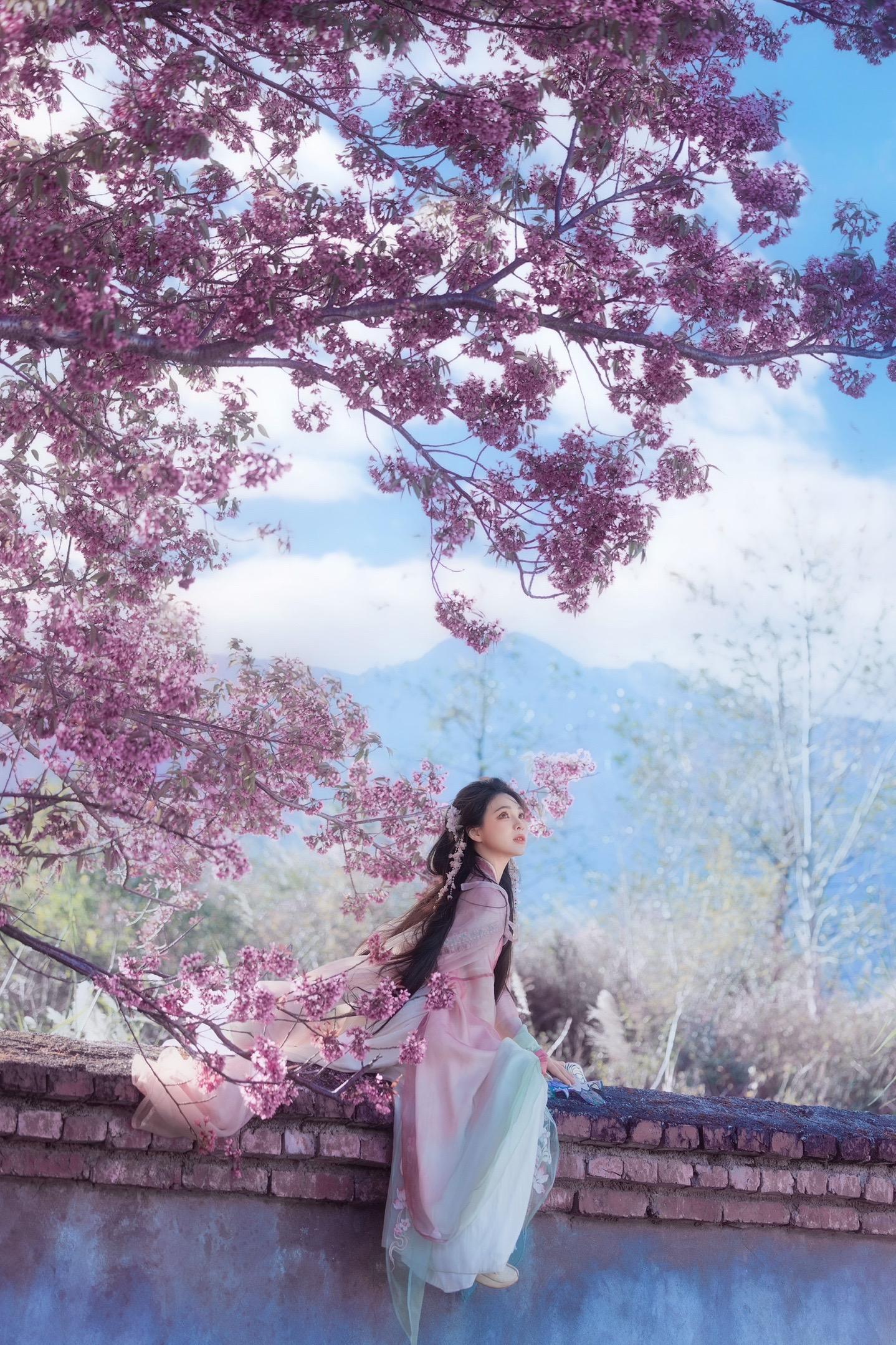 “春天的花是冬天的梦”