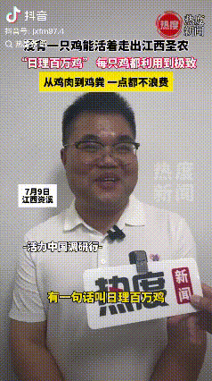 没有一只鸡能活着走出江西圣农！
每只鸡都被利用到了极致。从备受喜爱的鸡肉，到遭人