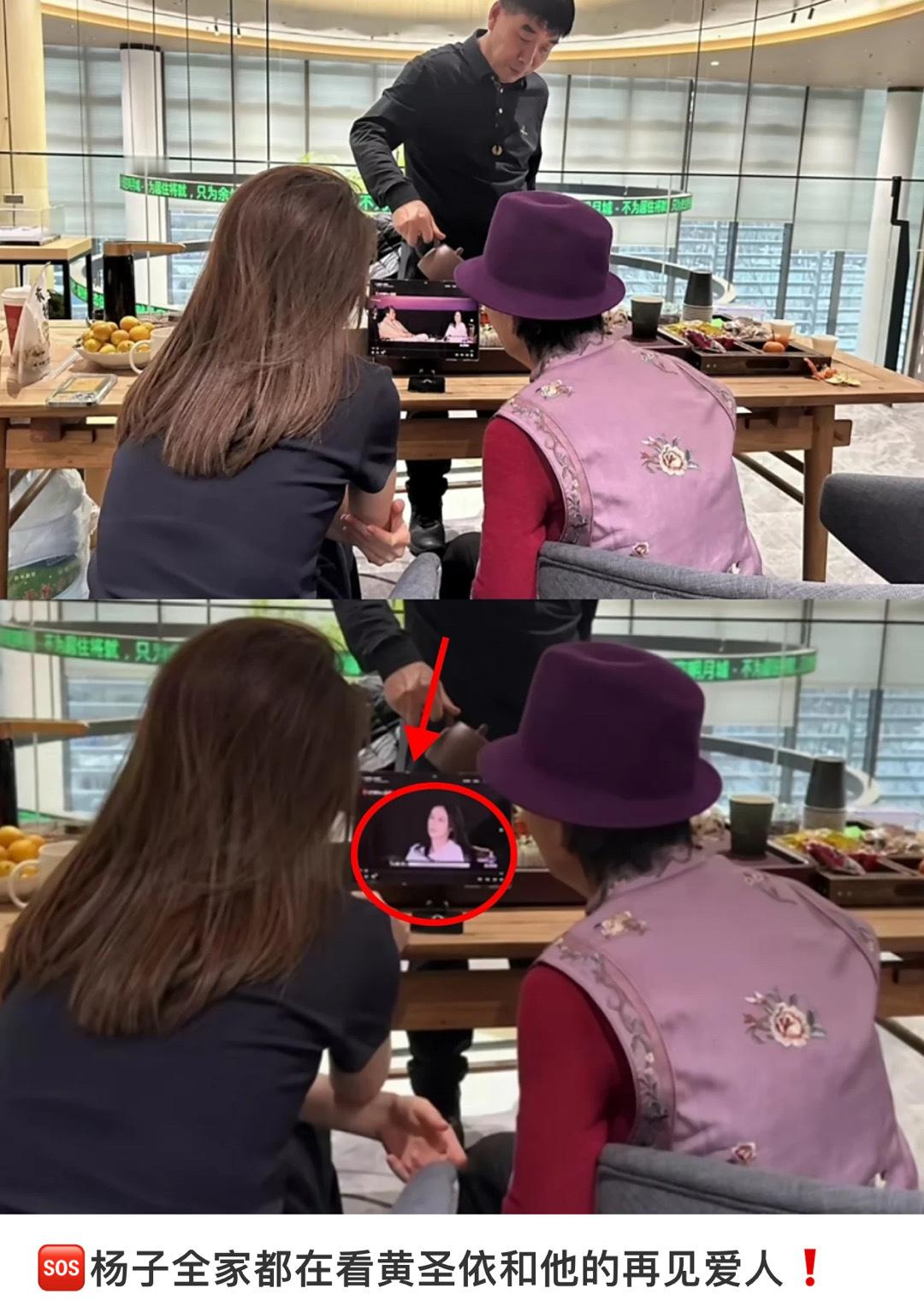 杨子全家都在看再见爱人  杨子妈妈也在看再见爱人 杨子全家都在看《再见爱人》，老