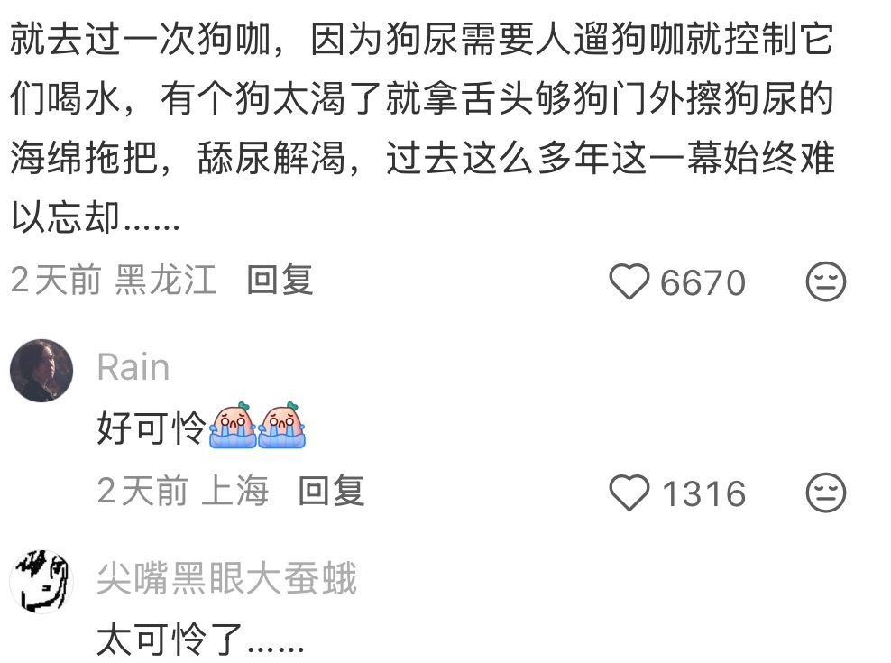 突然就对狗咖猫咖祛魅了好可怜