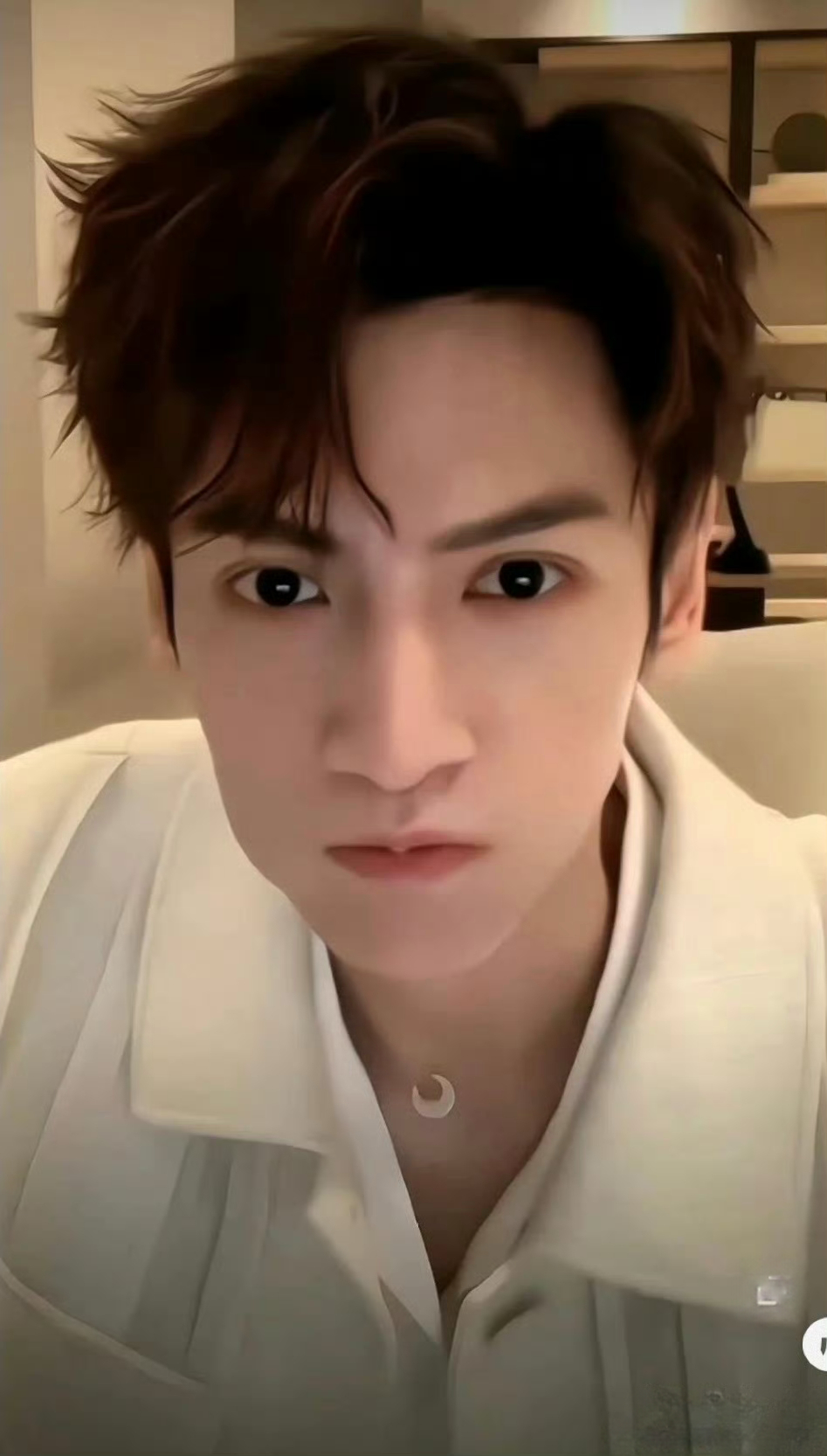 罗云熙，你是一只小河豚