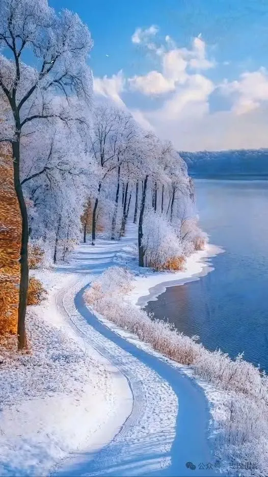 美图欣赏——冬天的雪景 - 湖边的银装素裹
