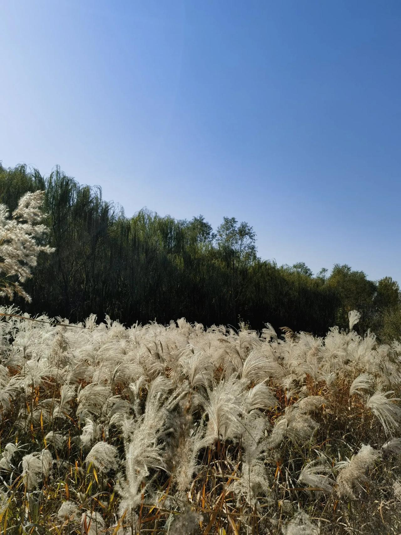 随走随拍大自然的美