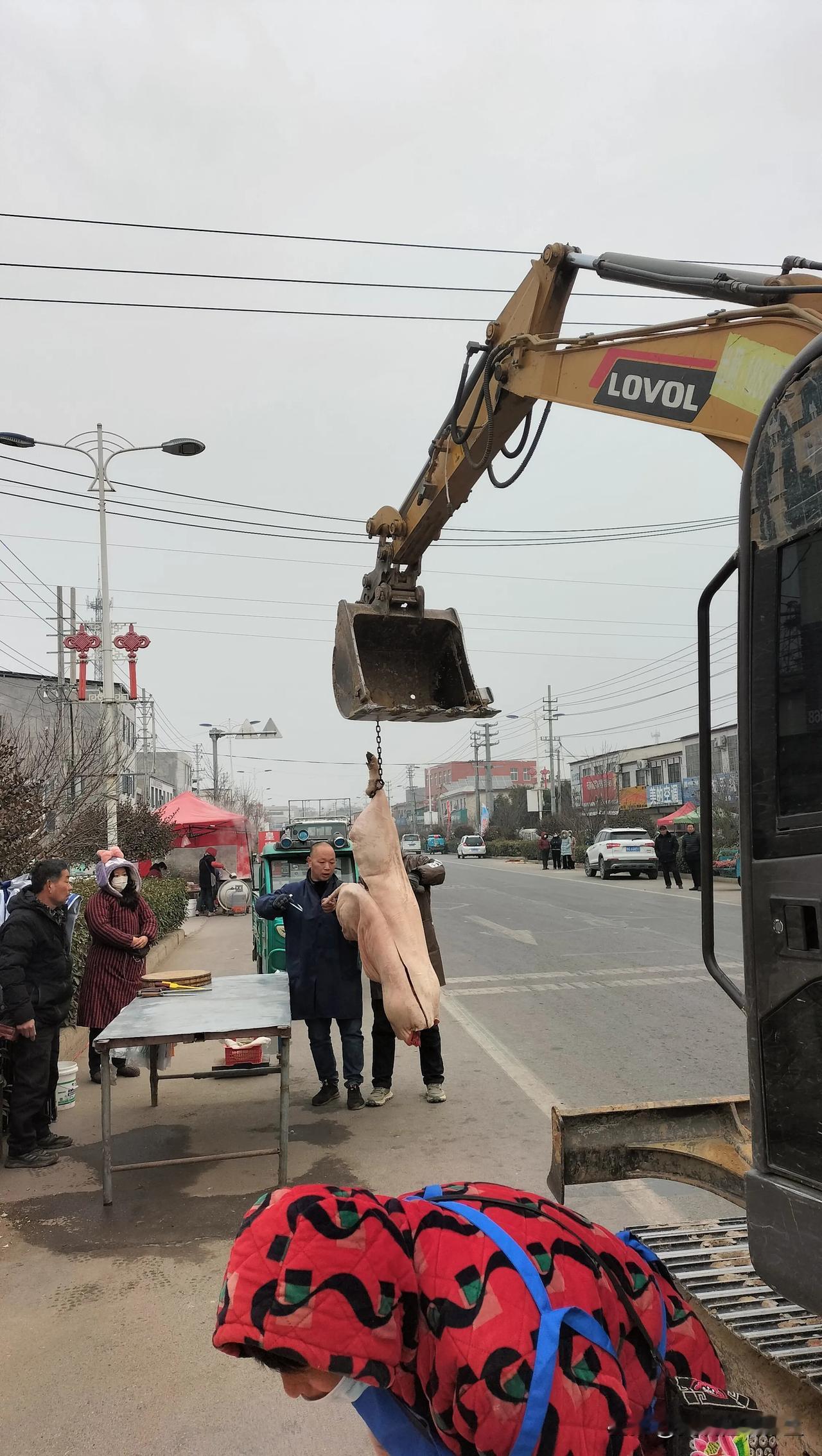 喜庆！用挖掘机充当起重机吊运猪肉，你可见过？

今天是小年，上午，鄢陵县只乐镇大