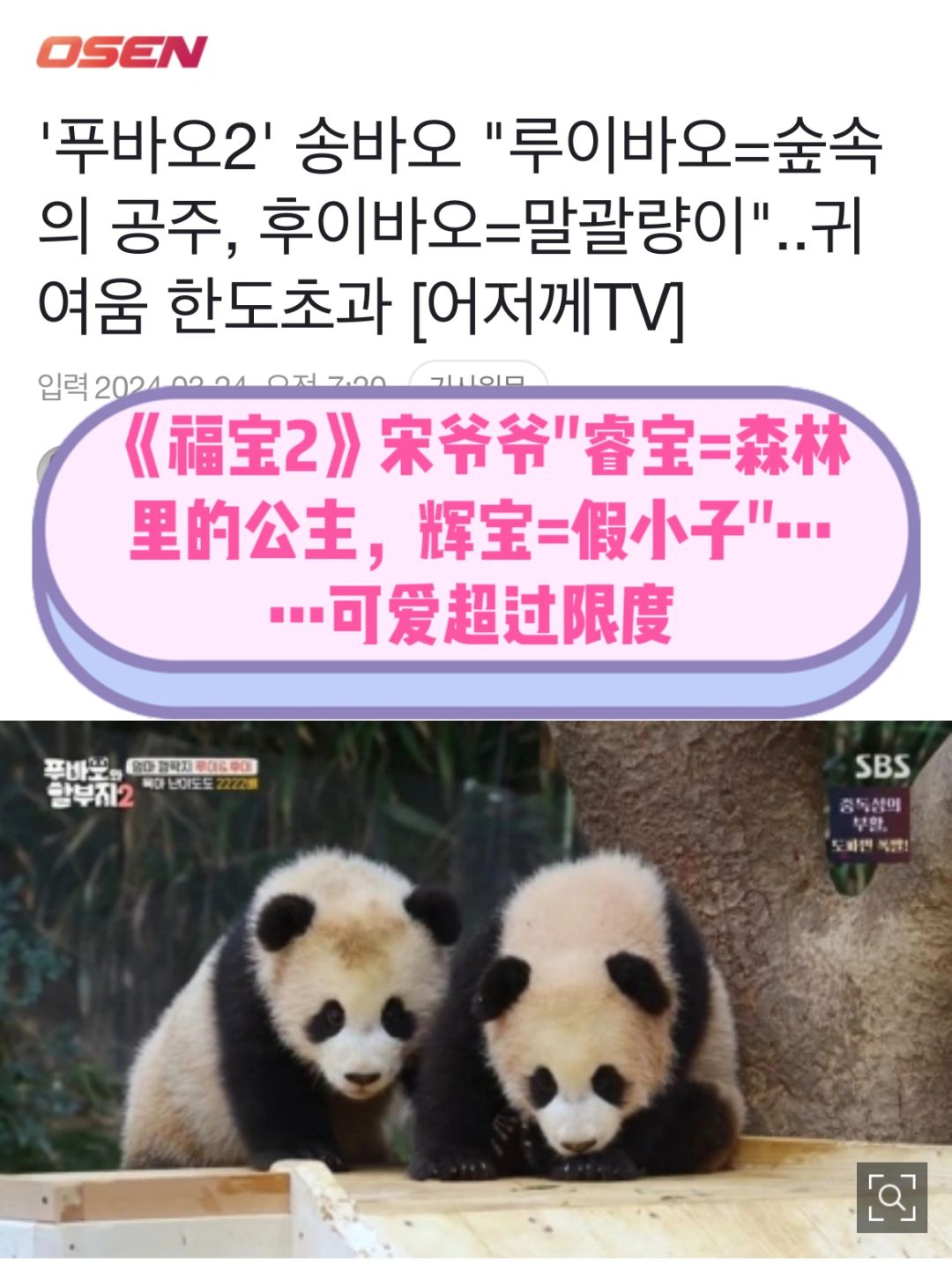 🔥宋爷爷“睿宝=森林里的公主、辉宝=假小子”