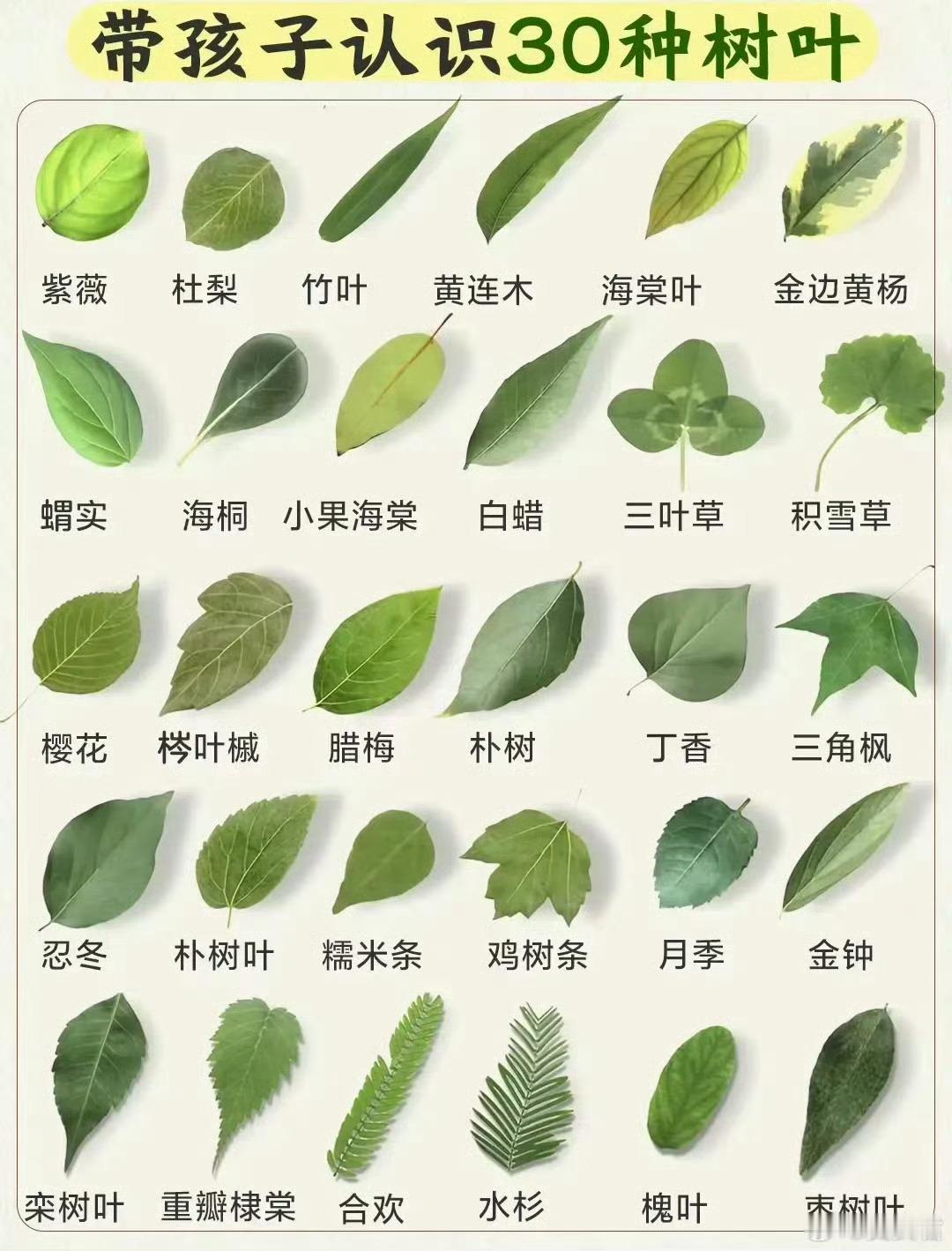 基本都见过，现在知道名称了