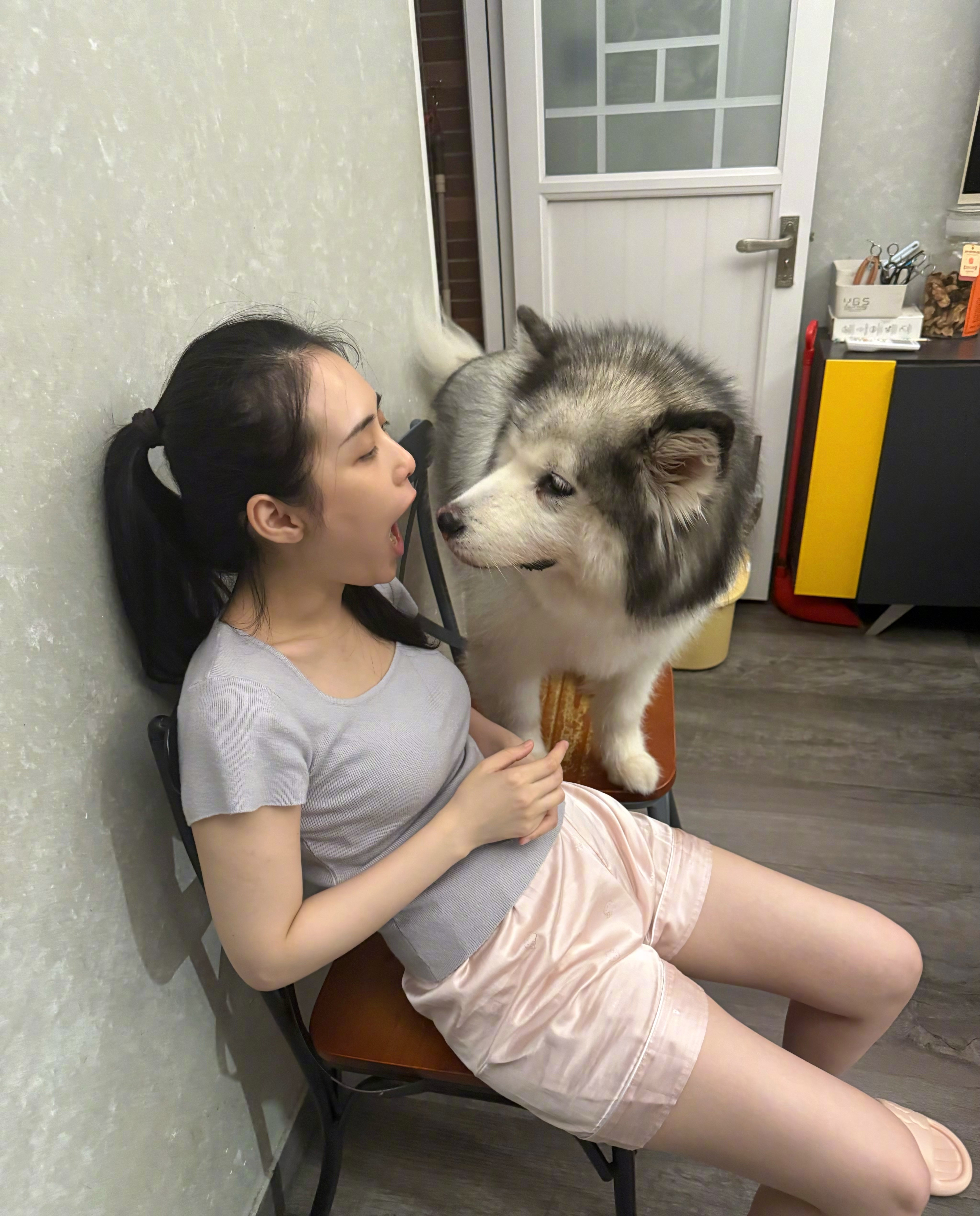 这个人老是吃完好吃的然后长大嘴给狗炫耀[二哈] 一分钟视频创作季（素材源自网络谨