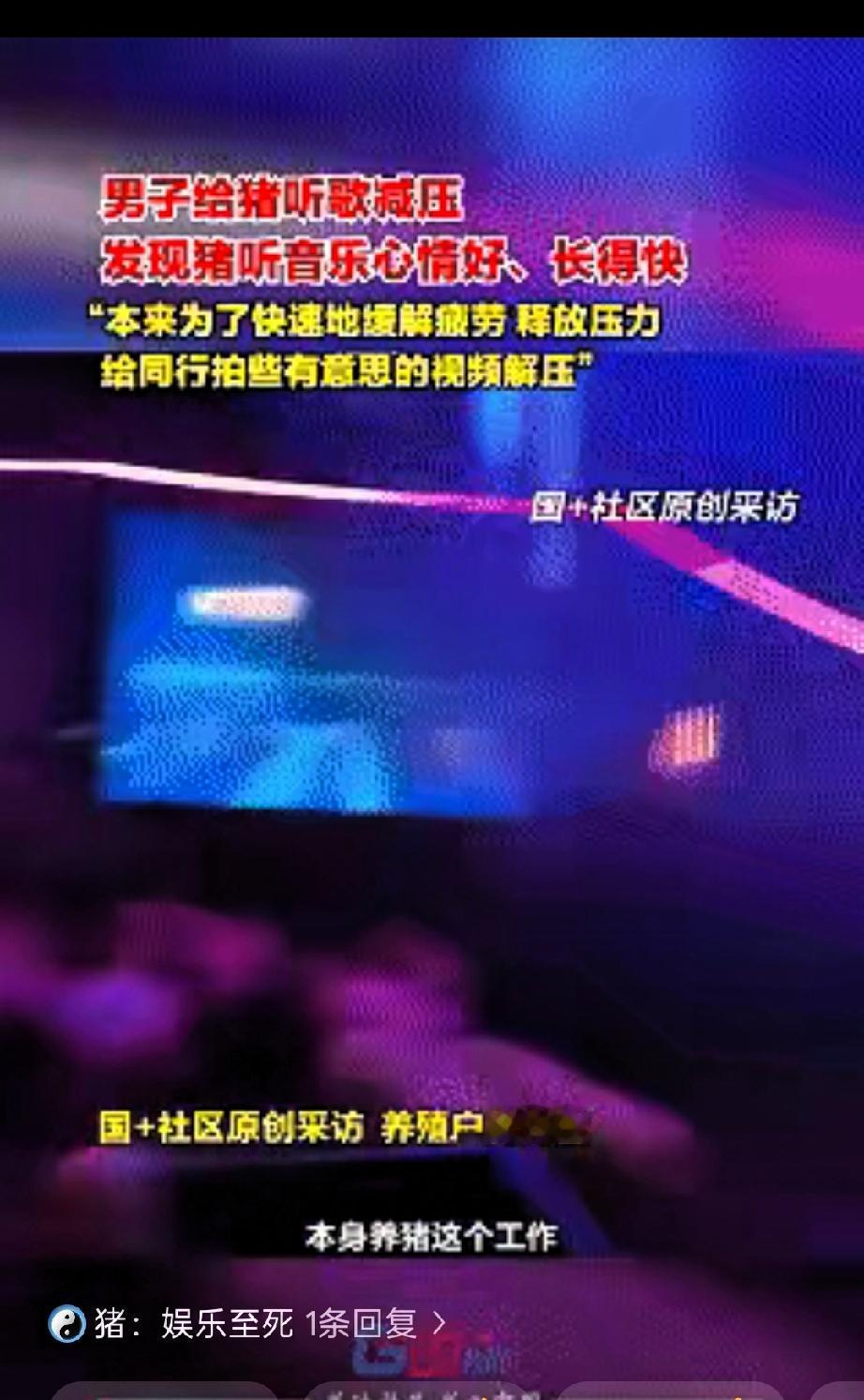 解释不清了！近日广西桂林，男子因为养猪实在无聊，就在猪舍中安装了一套音乐设备，每