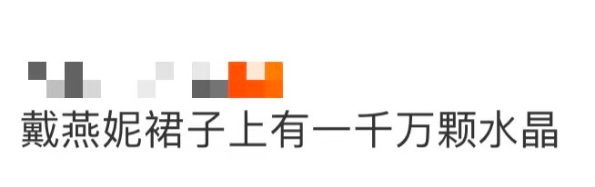 戴燕妮裙子上有一千万颗水晶 戴燕妮裙子上有一千万颗水晶！救命，真的被戴燕妮今天跨