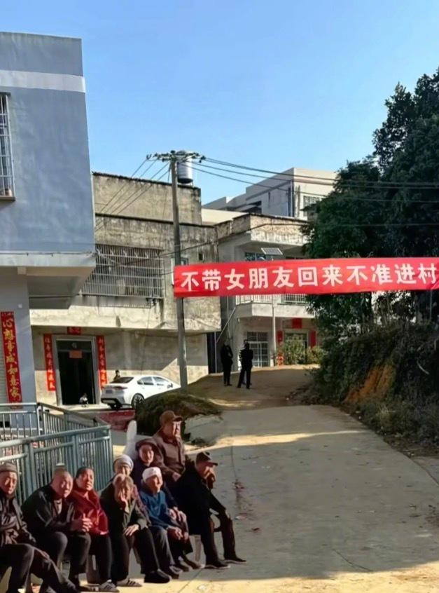 当大学生回村后…… 