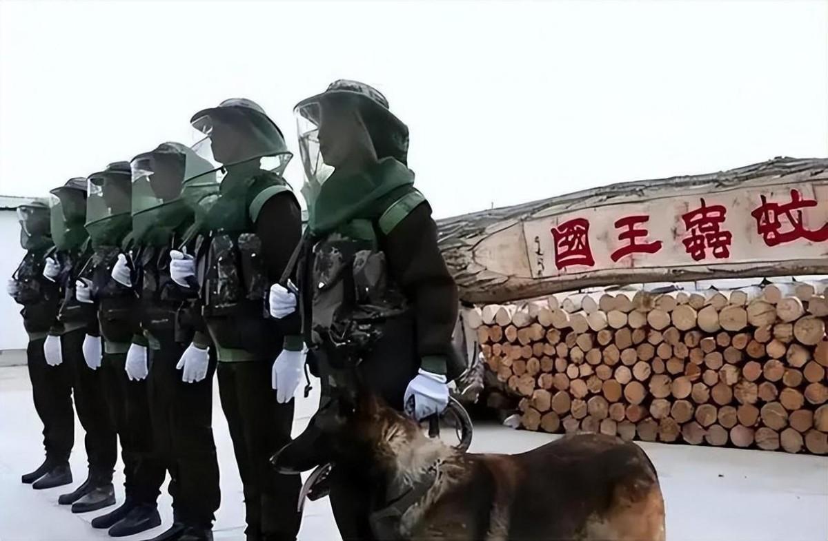 国内最危险边境线，蚊子多到用盆装，7条警犬不幸丧命于此
前言
这个世界上每个国家