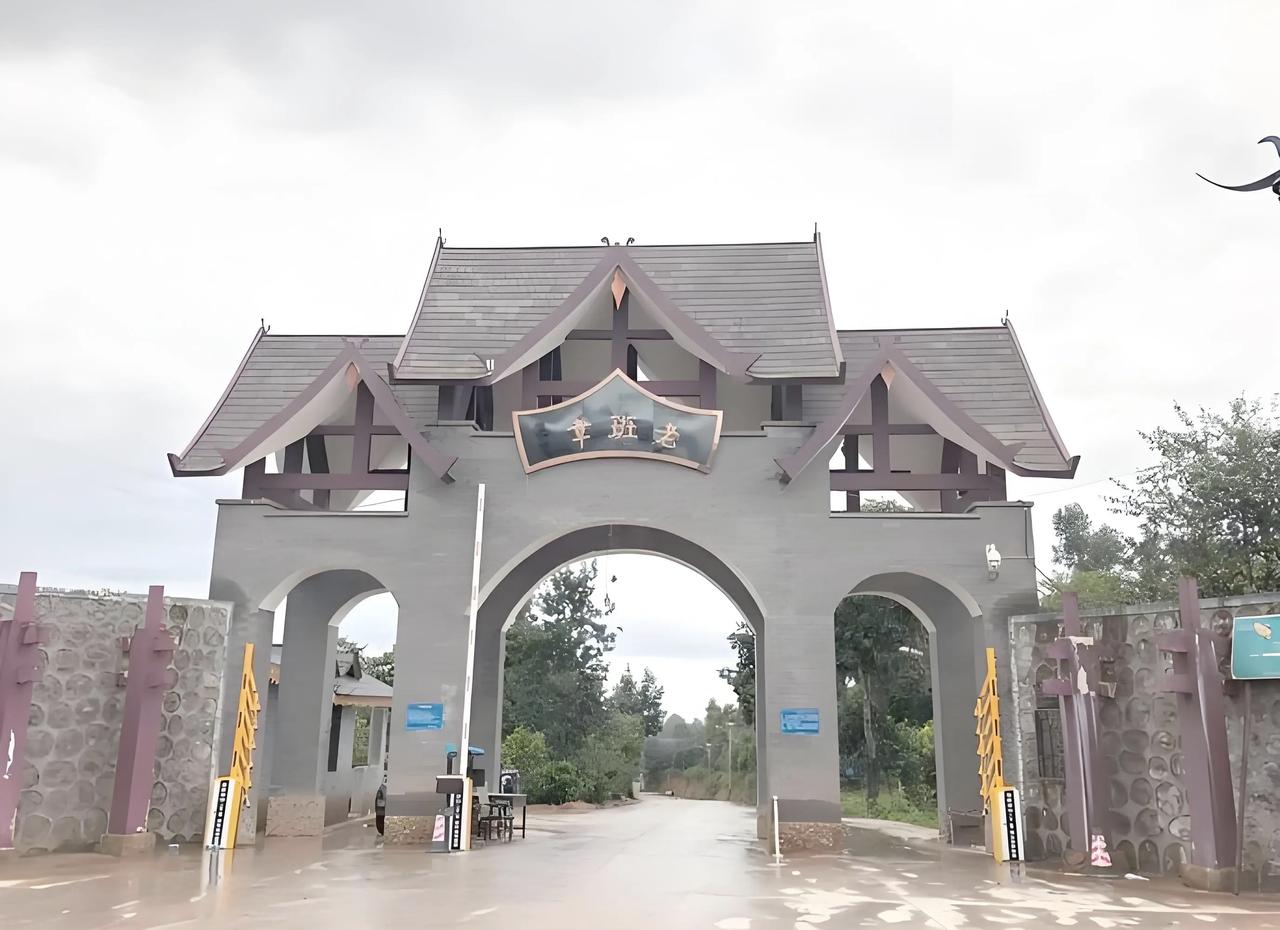 纯天然绿色食品