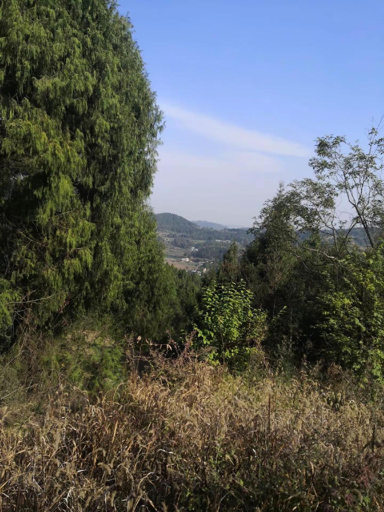 山上美景 自然风景 大山风景 搭什么衣服都好看 爬山