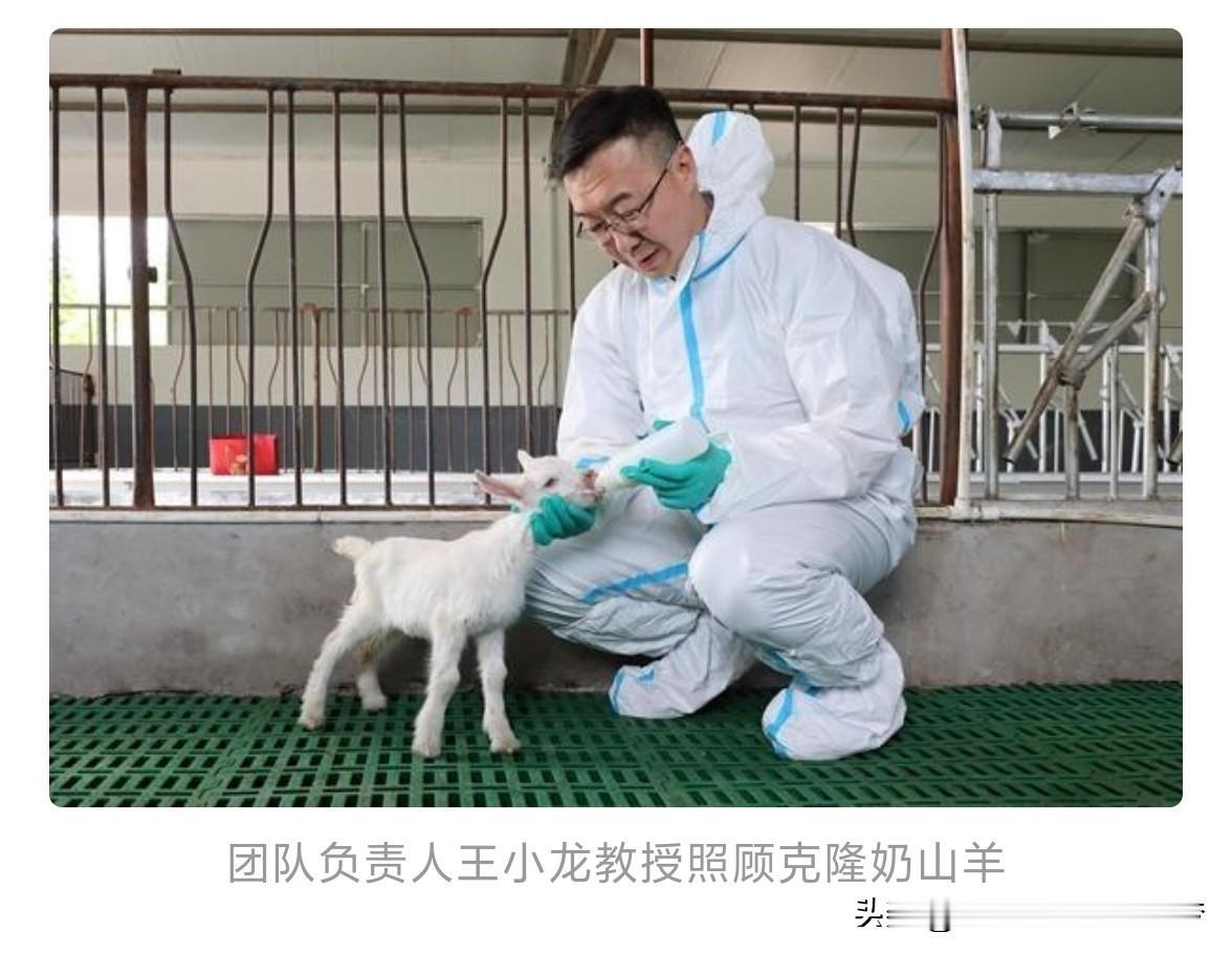 王佳玥，图/受访单位供图）
