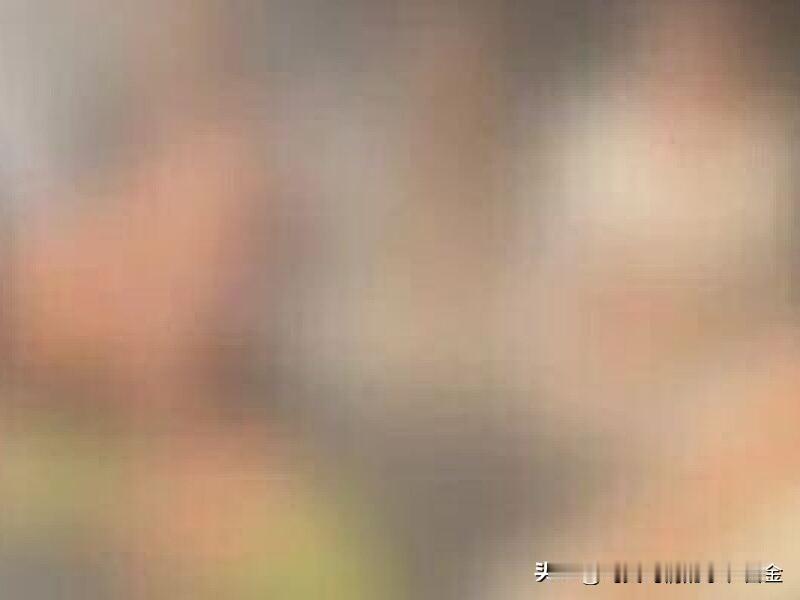 12月5日22时至次日00时45分，快手拥有4400万粉丝的网红“刘二狗”开启了