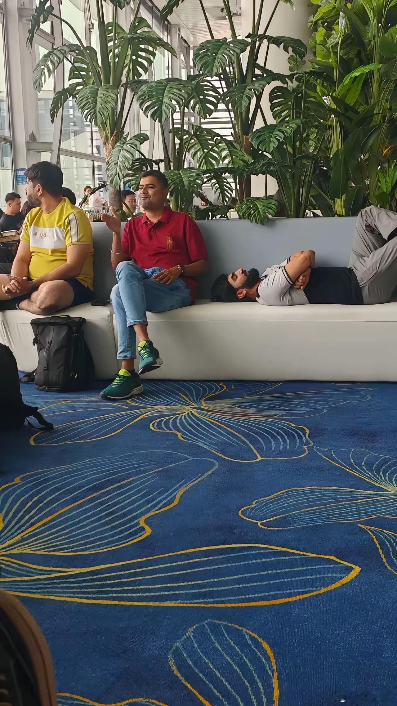 把印度人放进来，干嘛？？？ 