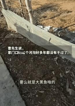 这下解释不清了！河南信阳，男子发现自家一只18斤大鹅不见了，开始还以为被人偷了，