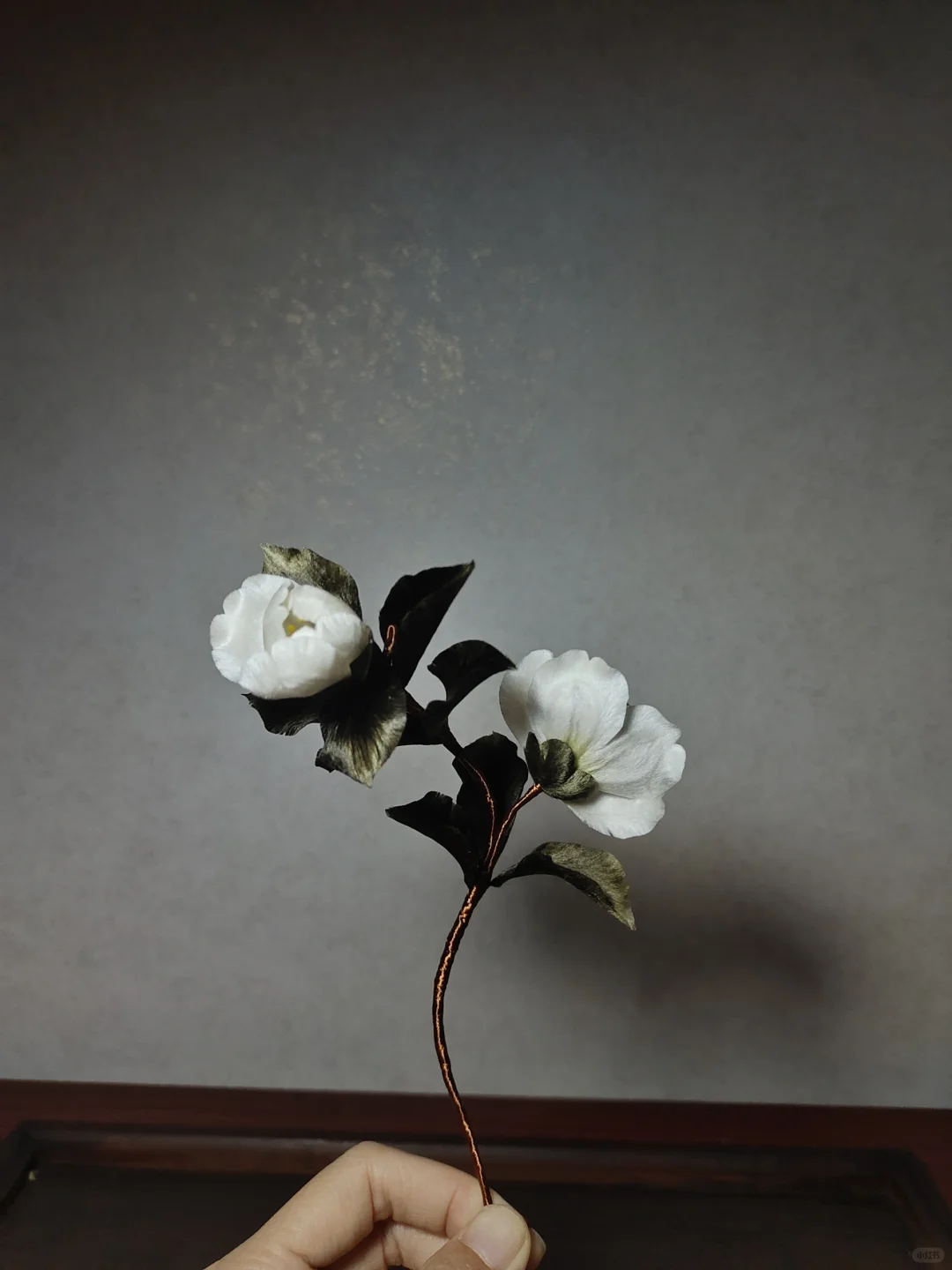 下次不敢轻易跟学生说录大件了。😭