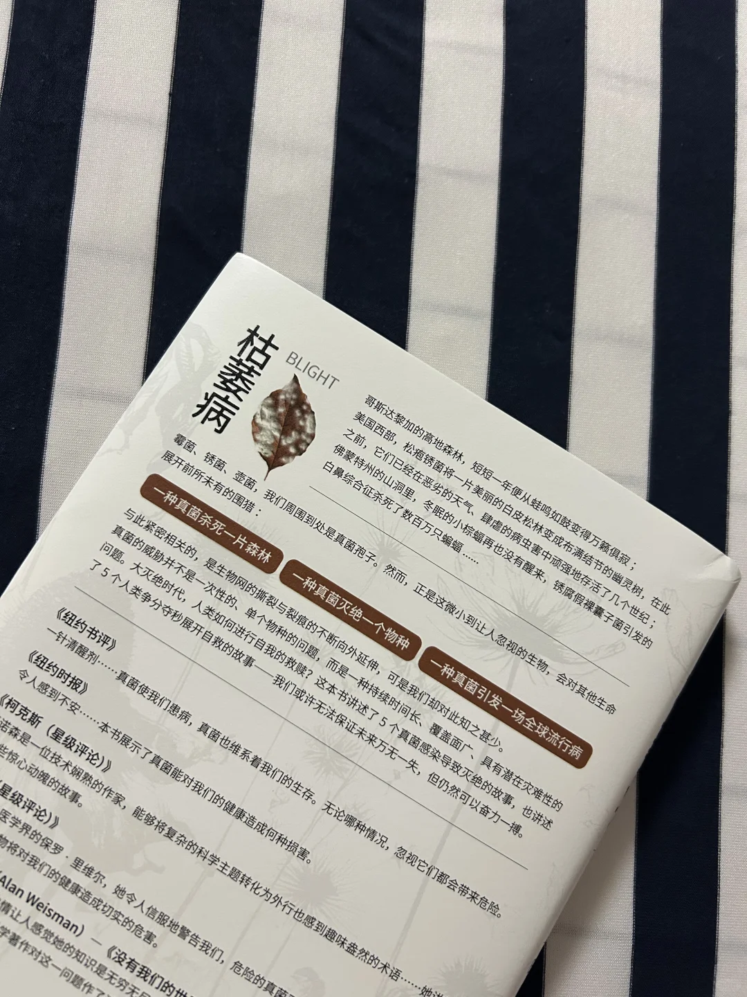 一种真菌引发一场灾难，人类仍可以奋力一搏