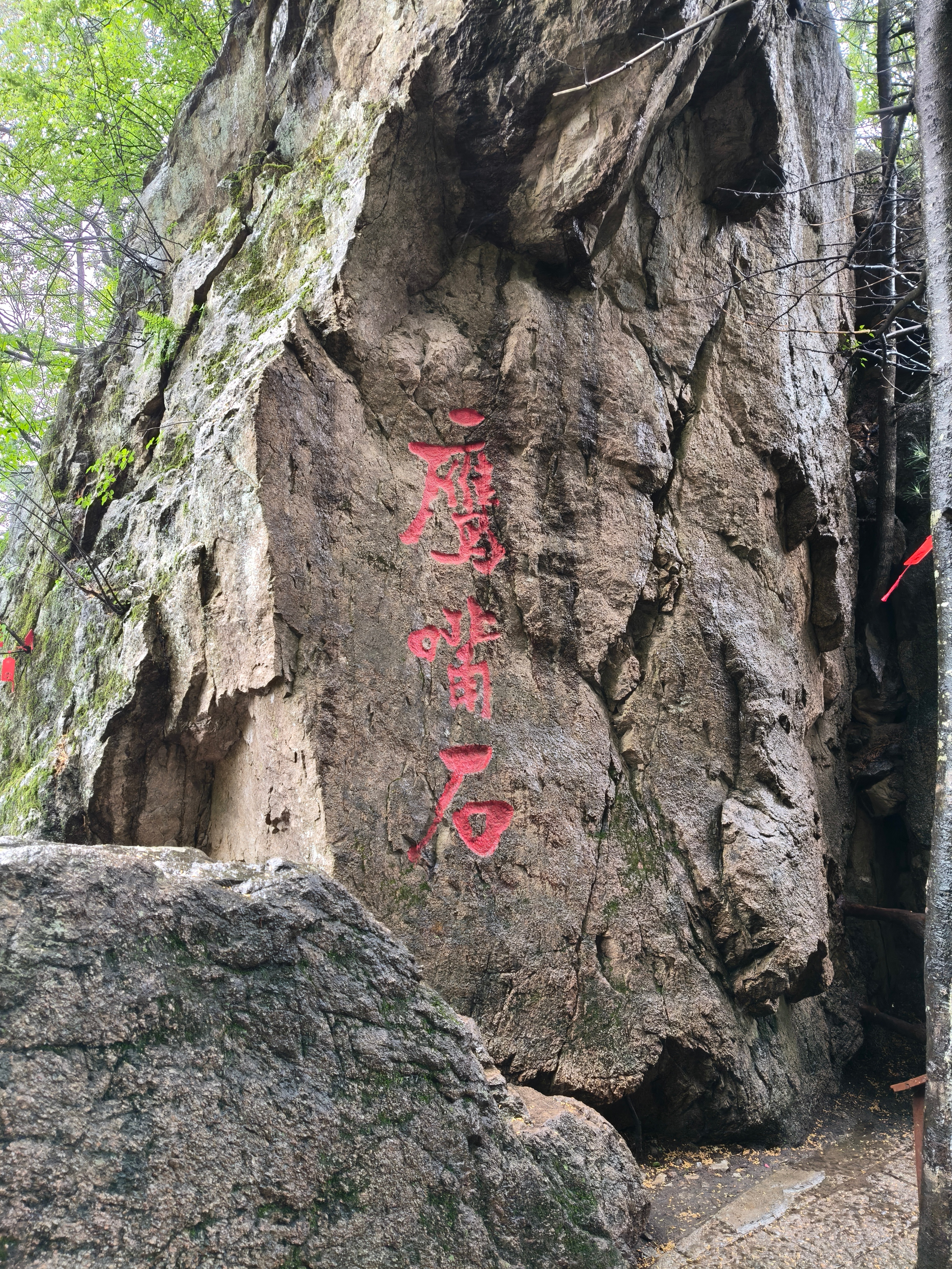 生活手记老君山真的不错 就是下雨的时候爬简直像地狱。 