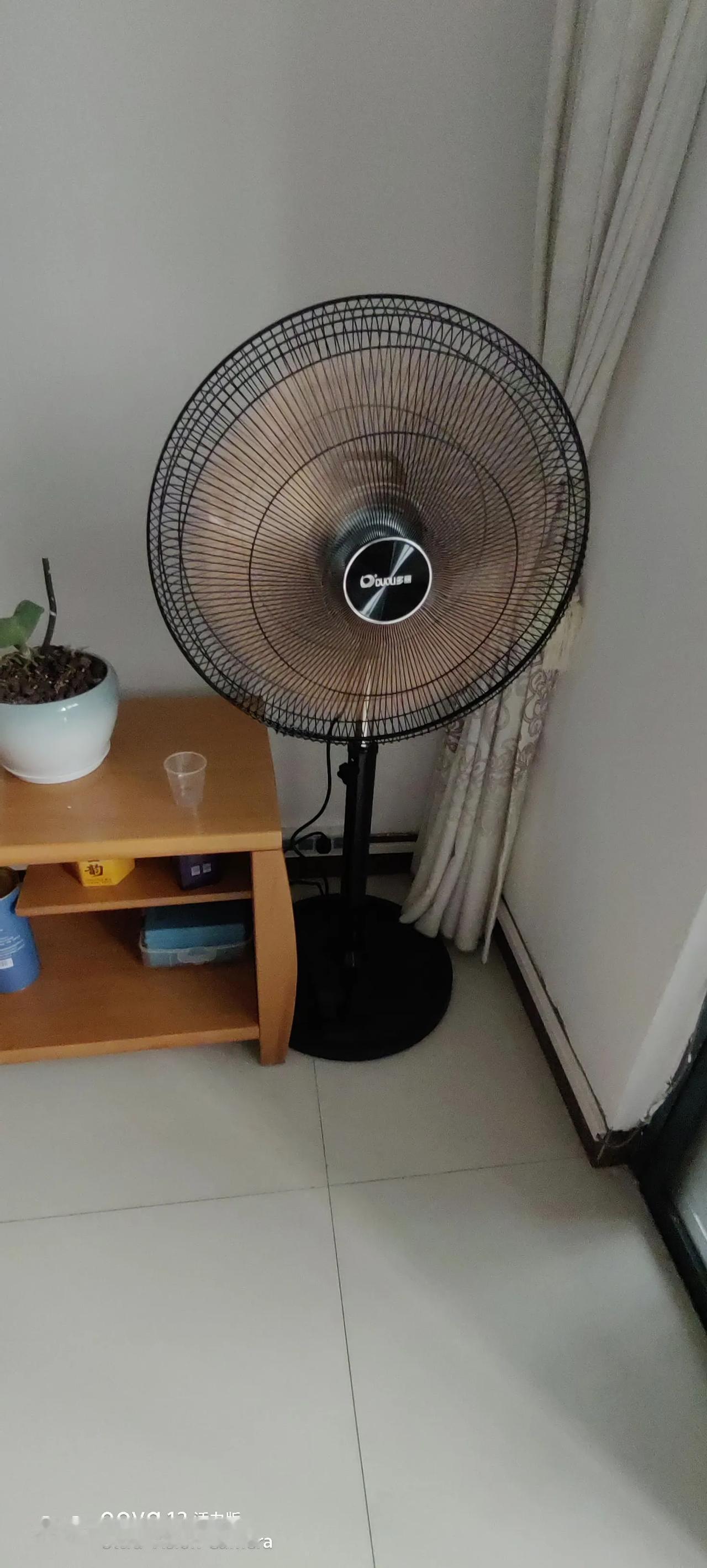 南宁已入夏
今天去南宁多丽电扇门店买了两台落地扇，把旧的两个台扇换掉，小的300