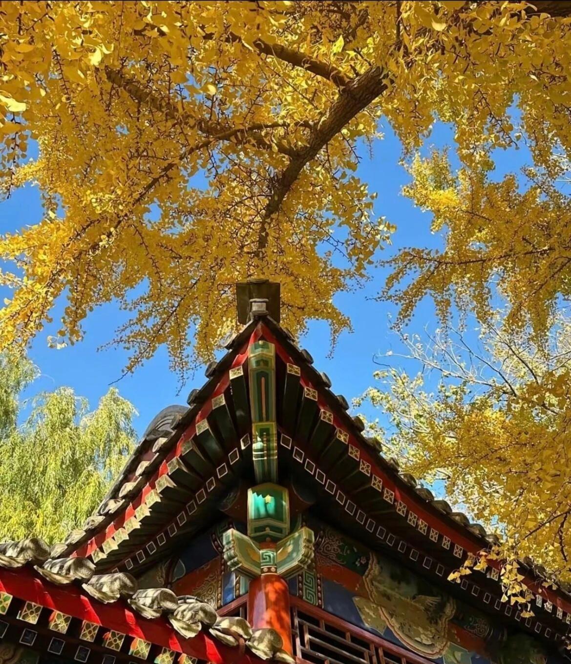 刘邦是普通人逆袭的教科书刘邦论出身不如项羽，论治国不如萧何，论军事才能不如韩信，