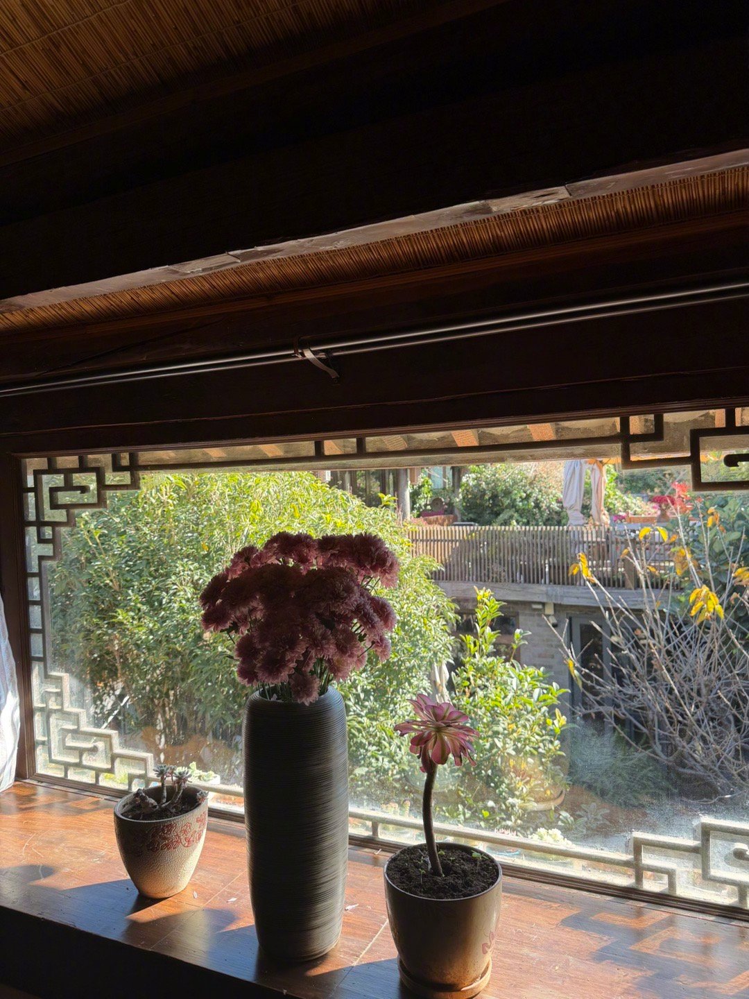 最近喜欢上了“生动”这个词。窗台上种满了各种品种的多肉，各种形状，各种颜色，在阳