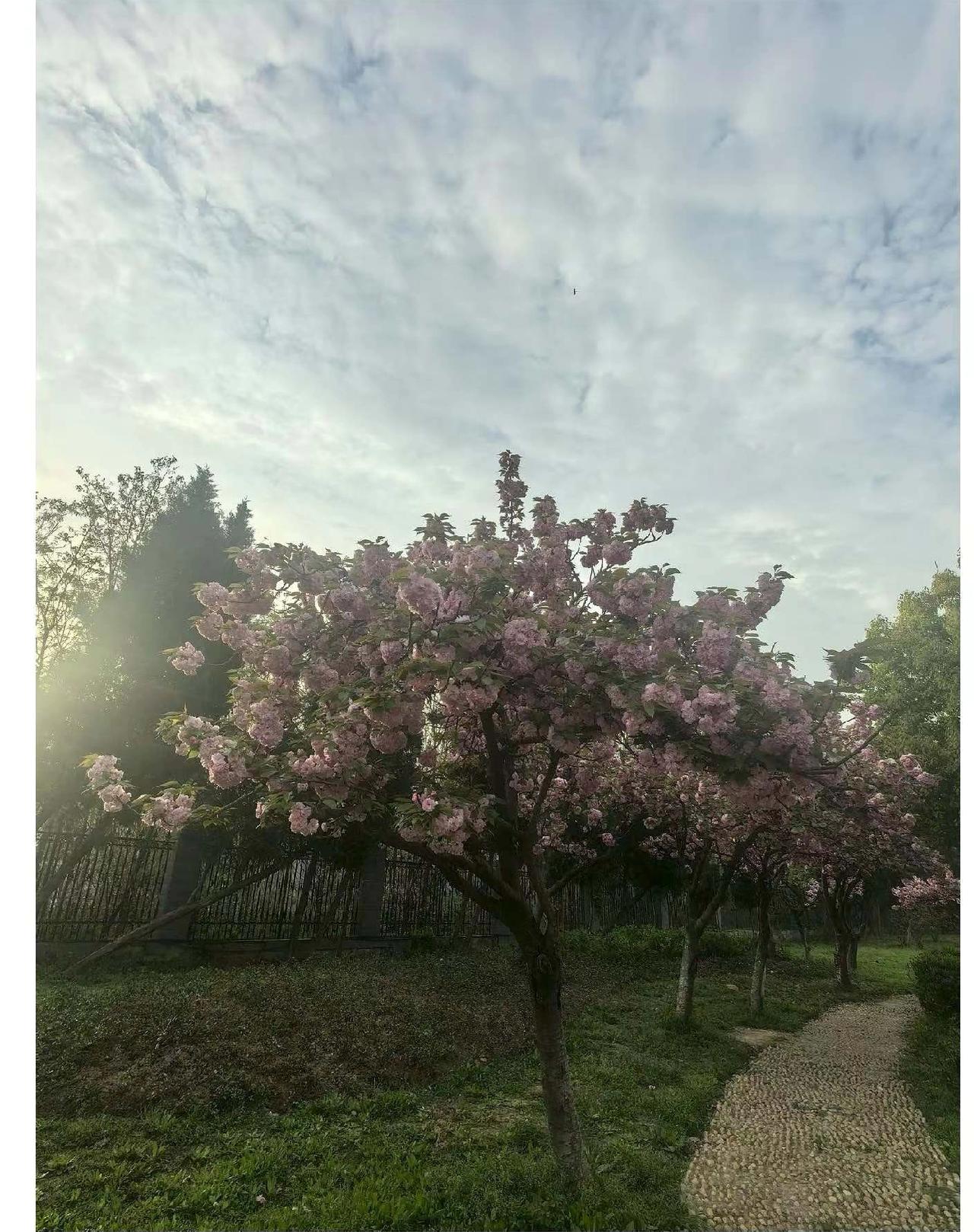 不讲诚信、说谎话、造谣的人被善良妈妈诉了，不但要赔偿1W，而且还主要是做实了说谎