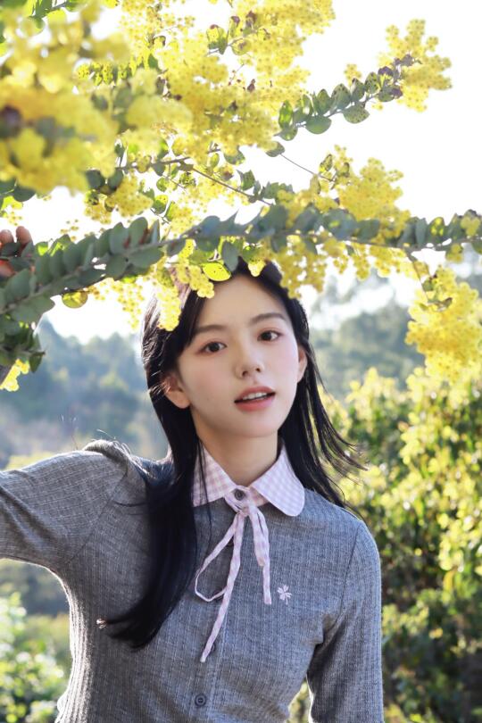小黄花🌼