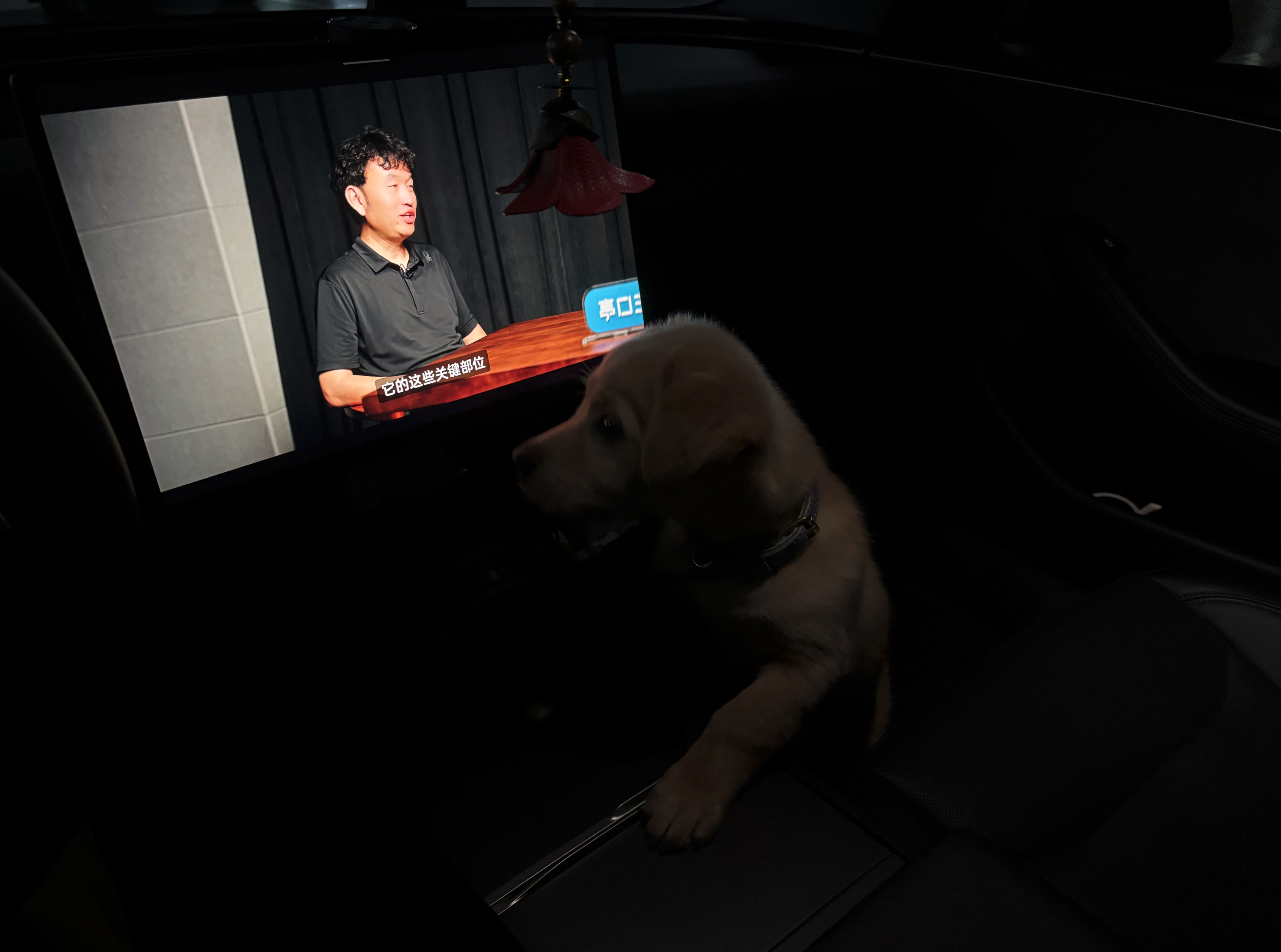 发给我了这张照片。他是想说亭口三人谈 狗也爱看，还是狗也不看？最近更新得有一些慢