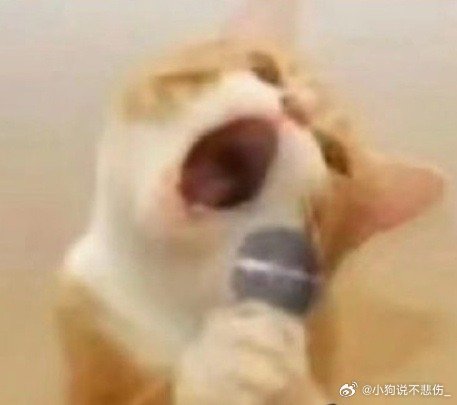 祝绪丹唱歌小猫表情包真的被祝绪丹的唱歌小猫表情包可爱到了，要不要这么萌的嘞！我得