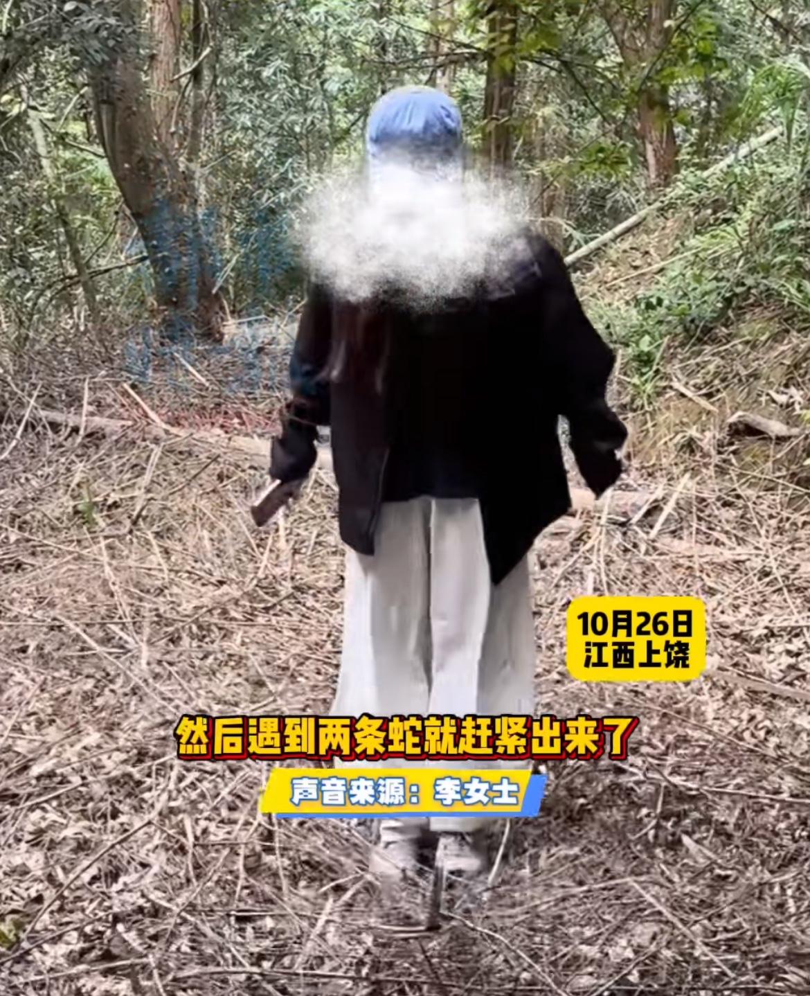 “女子徒步误把蛇窝当蹦床！”江西上饶的山林里一场比恐怖电影还刺激的“冒险”上演了