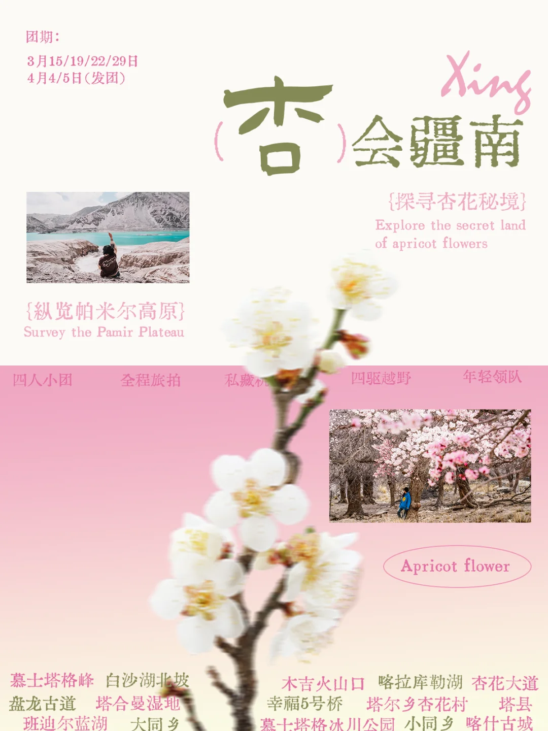 2025第一场春季旅行🌸人文与杏花的邂逅之旅